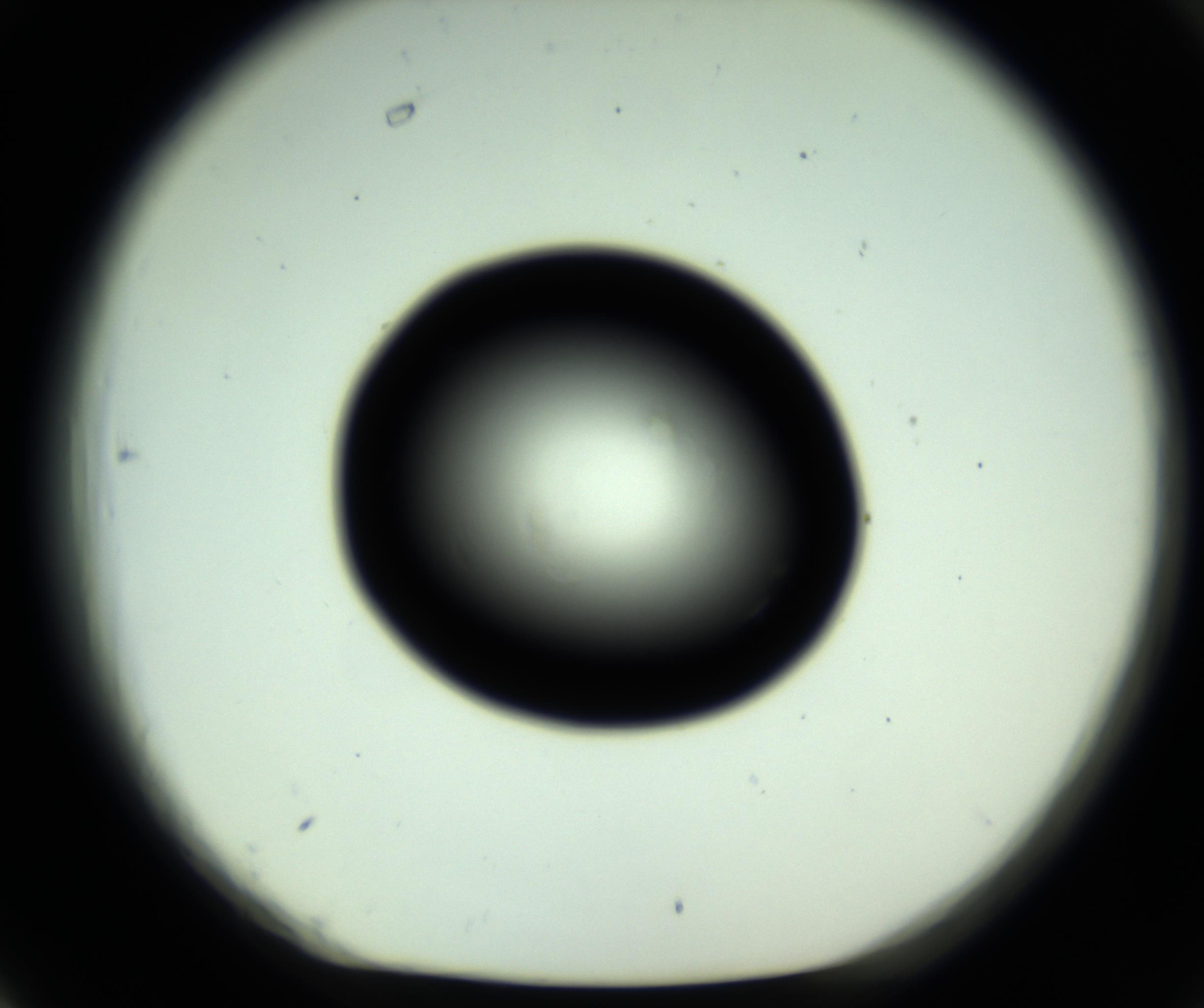 RI01_03_000_0212_Proj1_Clon1_MC_0000MC102808_006_161013_06_06_01_00_98_002_001_RAI.jpg