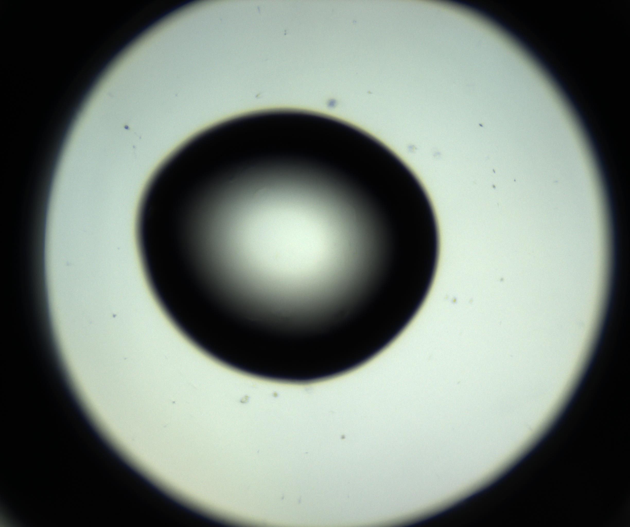 RI01_03_000_0212_Proj1_Clon1_MC_0000MC102808_006_161013_06_06_02_00_98_002_001_RAI.jpg