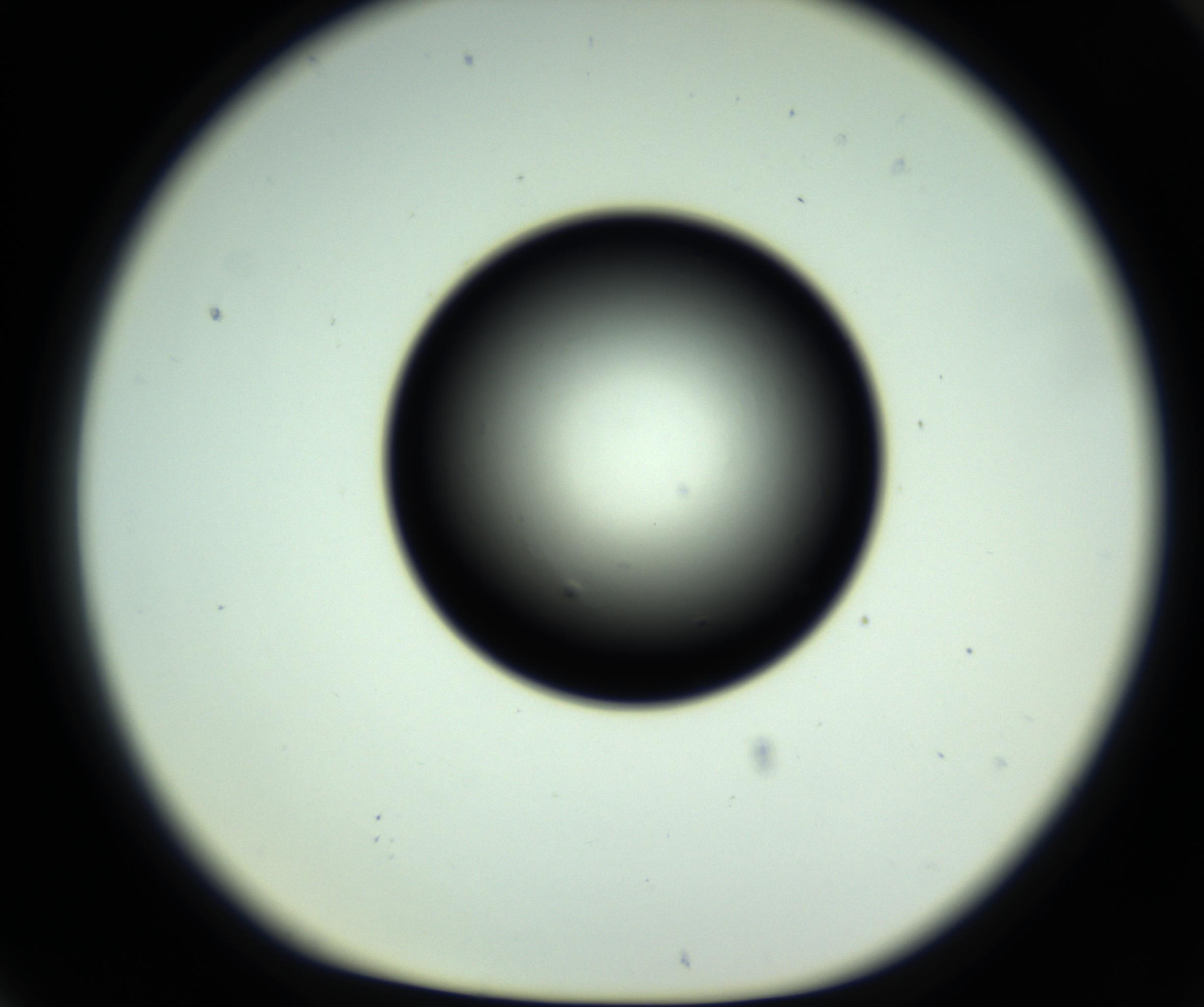 RI01_03_000_0212_Proj1_Clon1_MC_0000MC102808_006_161013_06_07_01_00_98_002_001_RAI.jpg