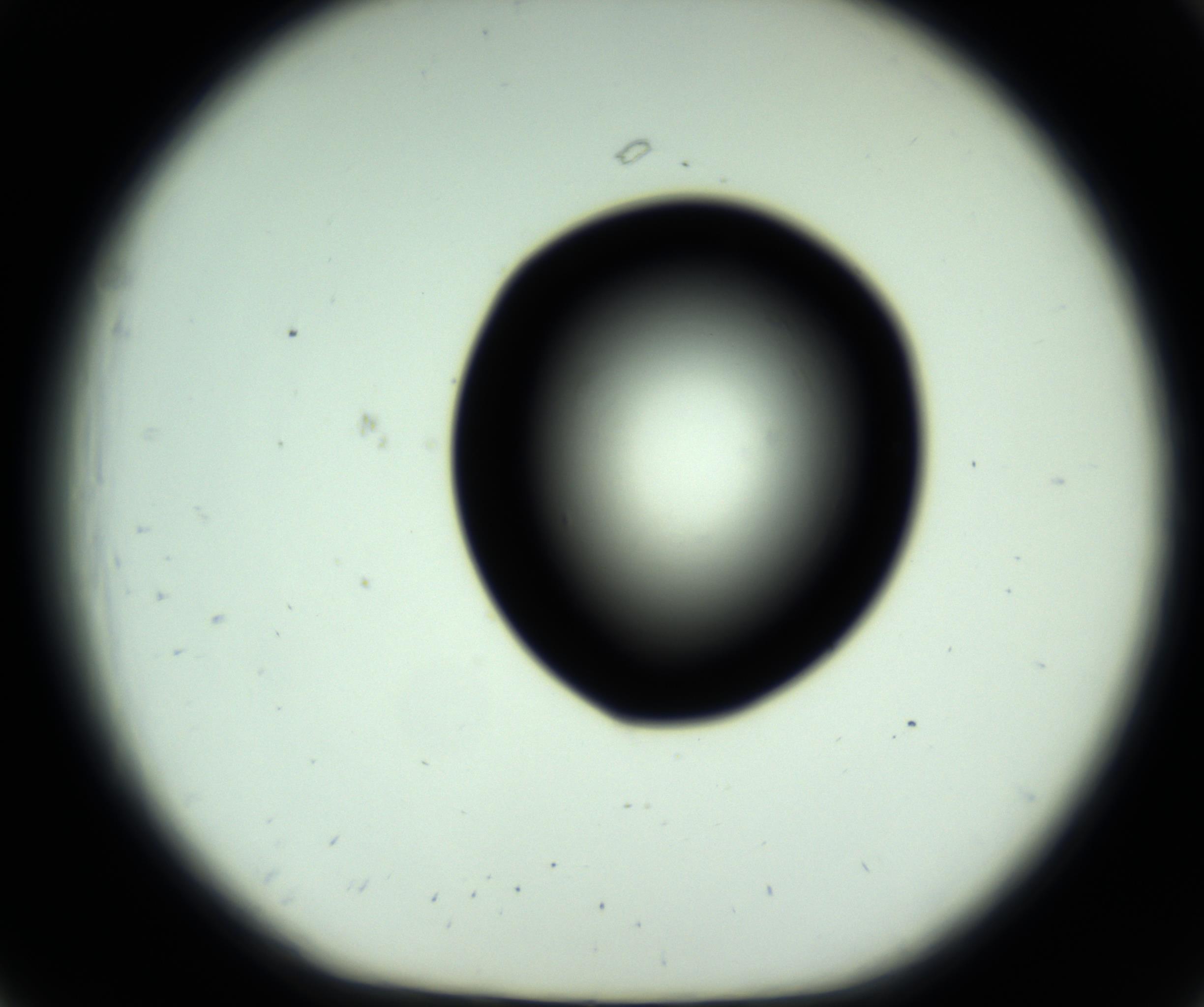 RI01_03_000_0212_Proj1_Clon1_MC_0000MC102808_006_161013_07_02_01_00_98_002_001_RAI.jpg
