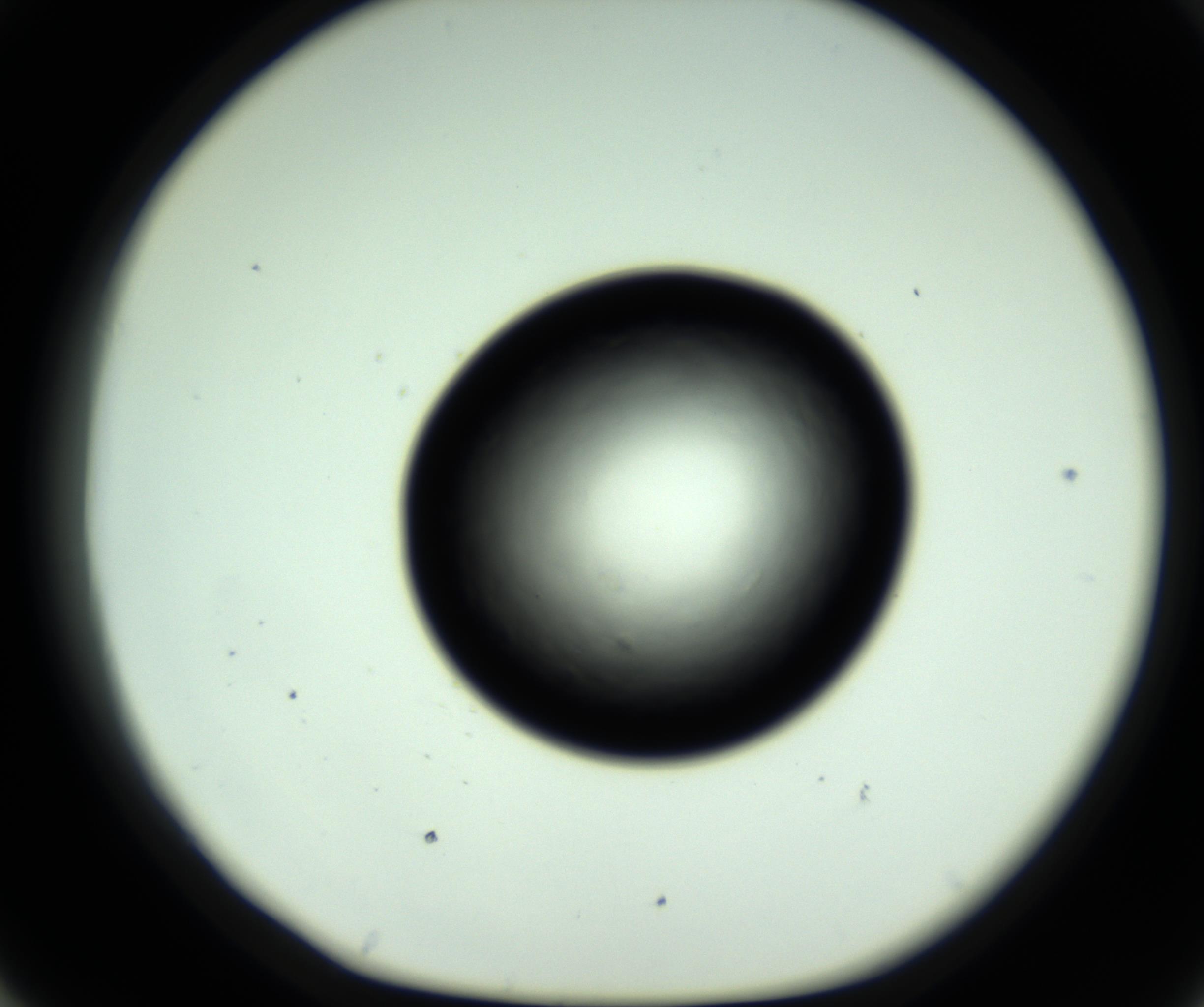 RI01_03_000_0212_Proj1_Clon1_MC_0000MC102808_006_161013_07_04_01_00_98_002_001_RAI.jpg