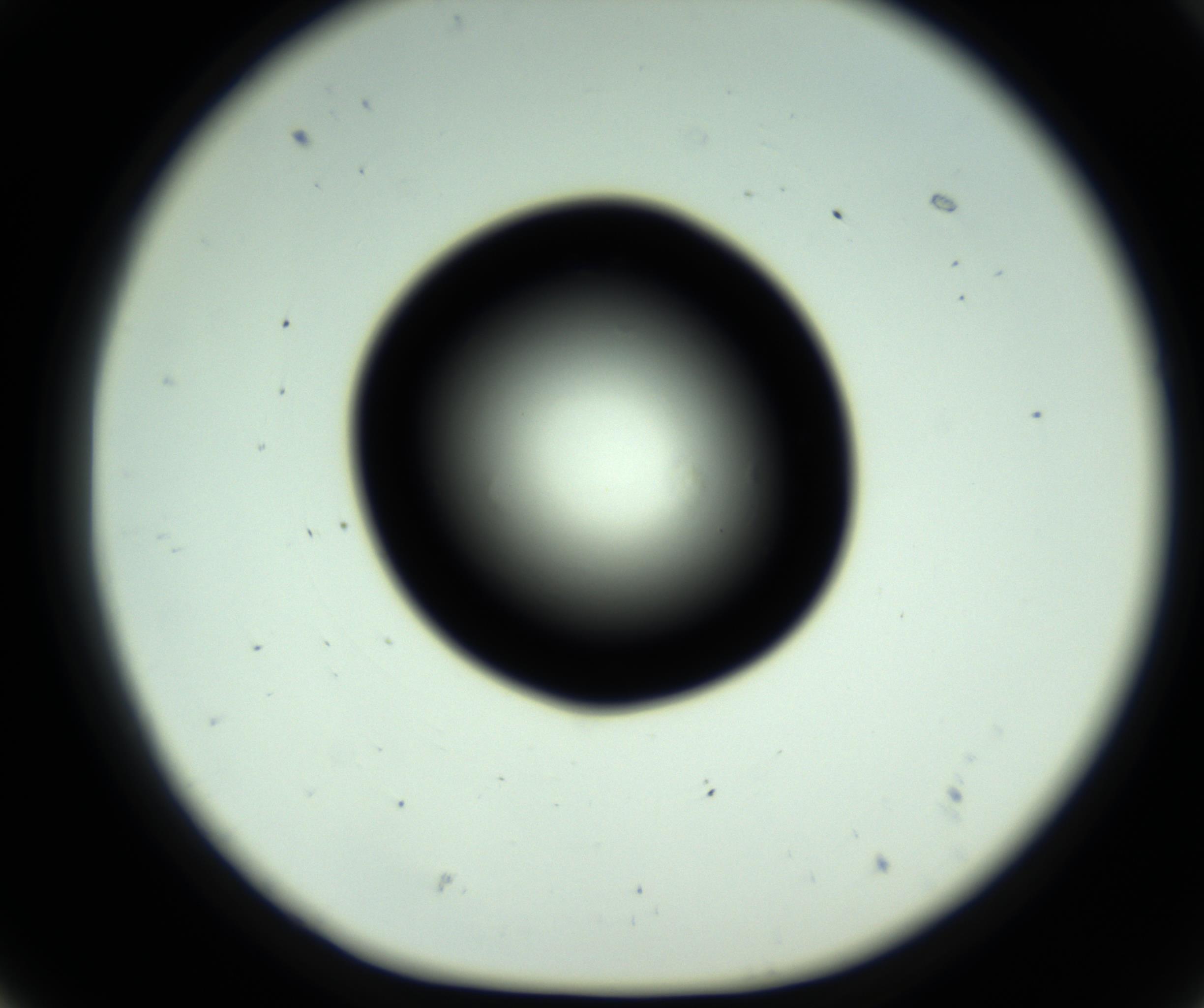 RI01_03_000_0212_Proj1_Clon1_MC_0000MC102808_006_161013_07_05_01_00_98_002_001_RAI.jpg