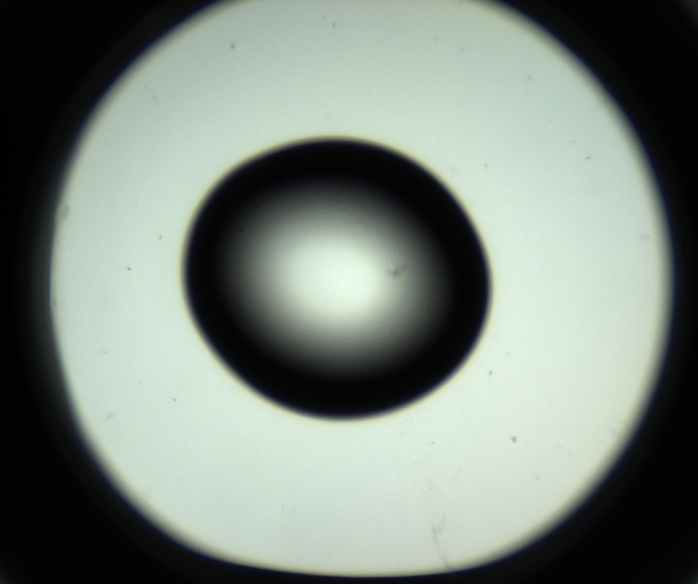 RI01_03_000_0212_Proj1_Clon1_MC_0000MC102808_006_161013_07_06_01_00_98_002_001_RAI.jpg