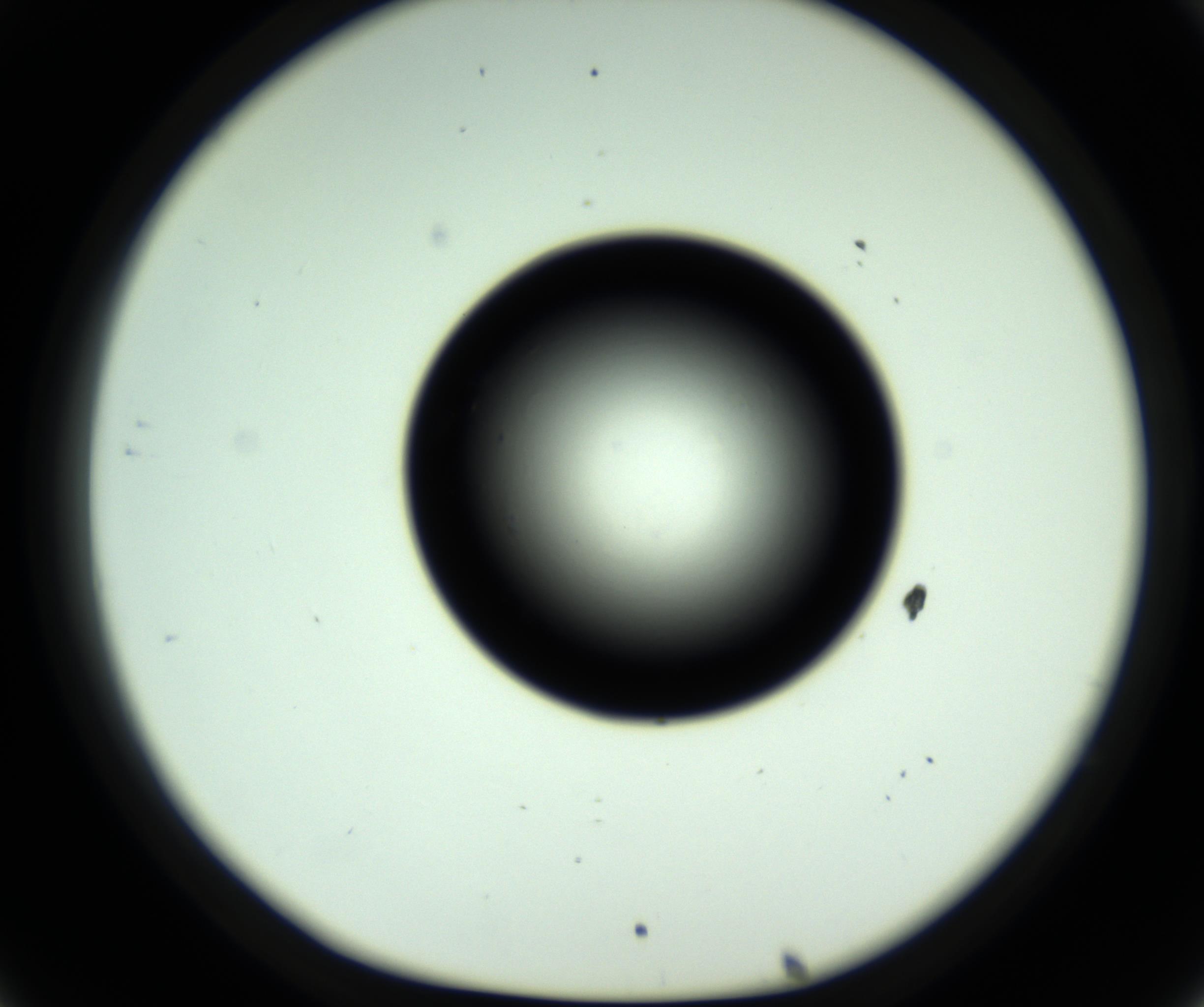 RI01_03_000_0212_Proj1_Clon1_MC_0000MC102808_006_161013_08_03_01_00_98_002_001_RAI.jpg