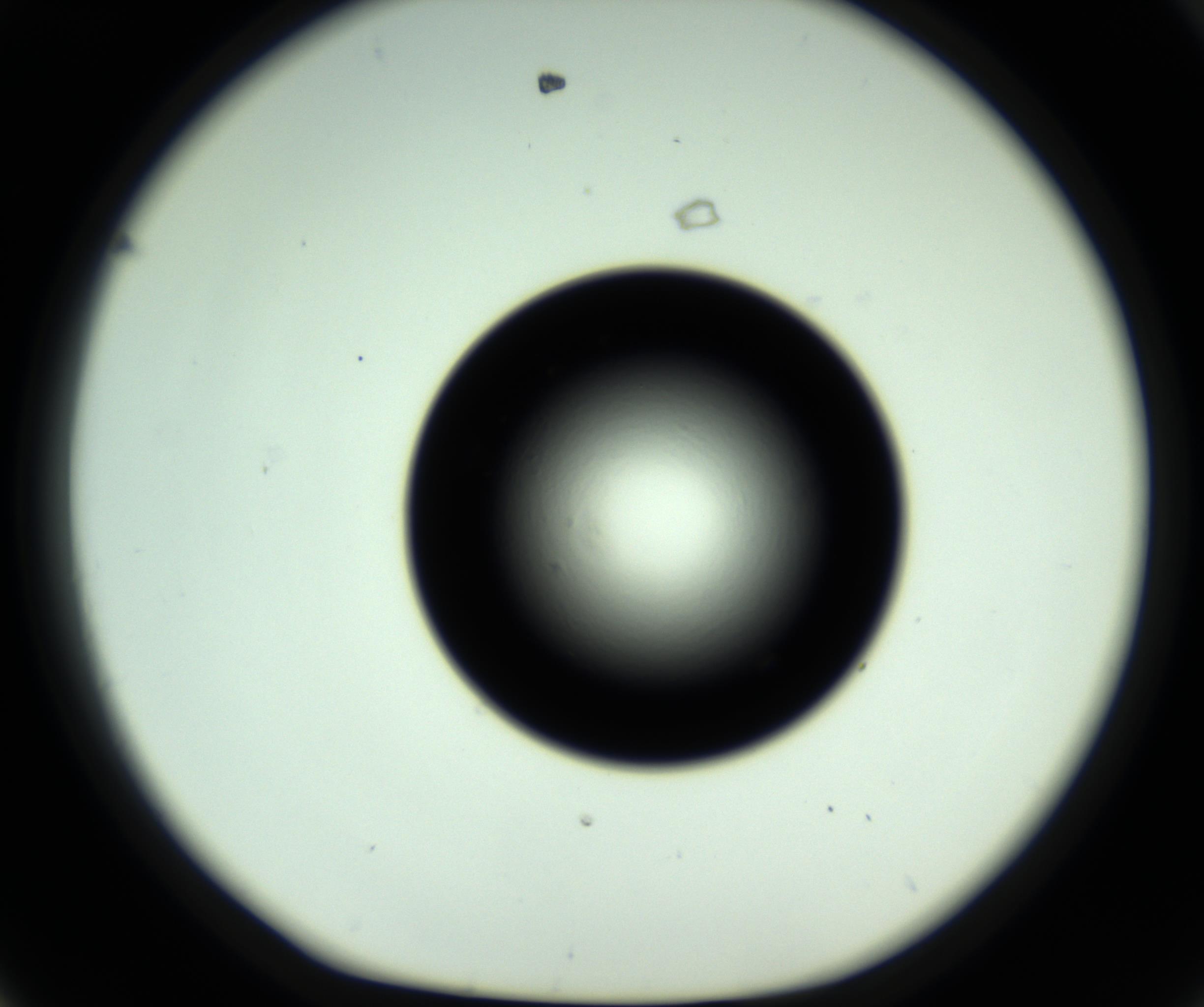 RI01_03_000_0212_Proj1_Clon1_MC_0000MC102808_006_161013_08_04_01_00_98_002_001_RAI.jpg
