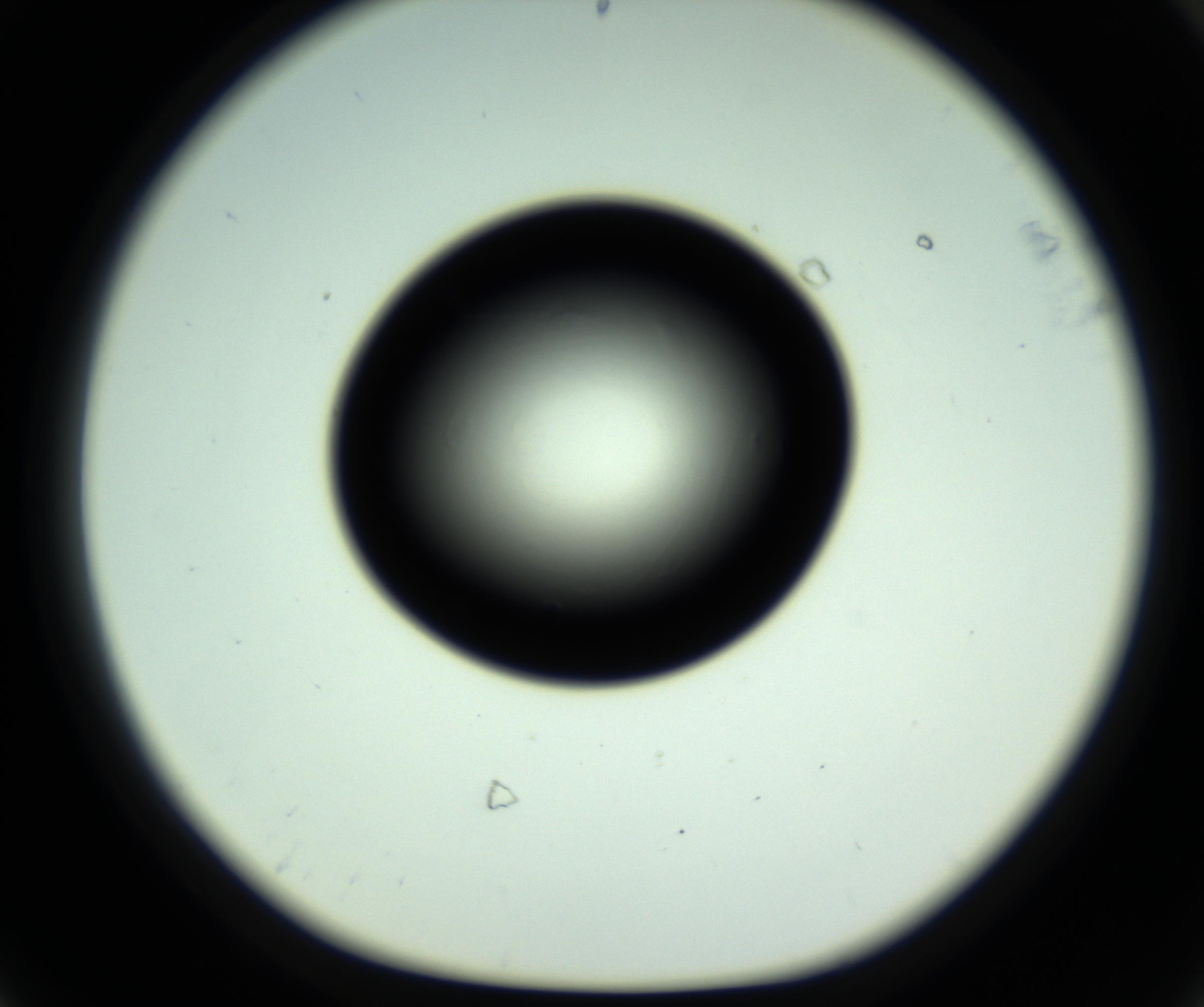 RI01_03_000_0212_Proj1_Clon1_MC_0000MC102808_006_161013_08_06_01_00_98_002_001_RAI.jpg