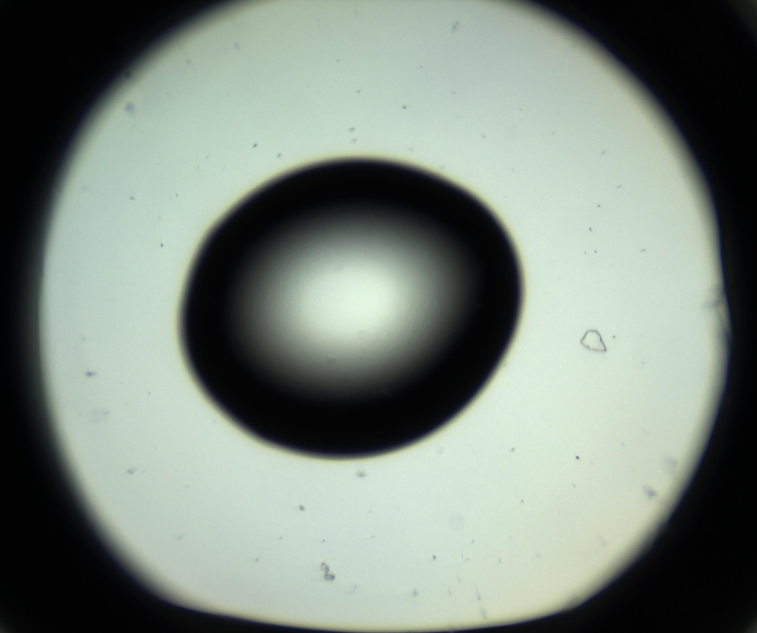 RI01_03_000_0212_Proj1_Clon1_MC_0000MC102808_006_161013_08_08_01_00_98_002_001_RAI.jpg
