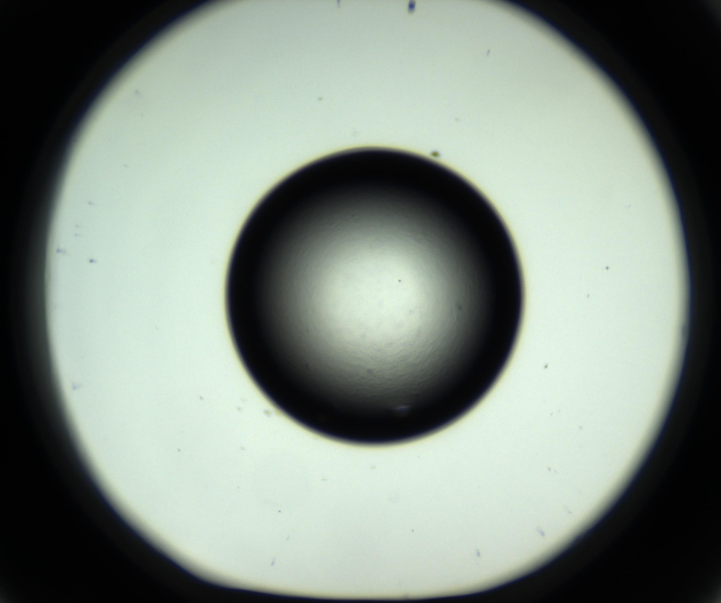 RI01_03_000_0212_Proj1_Clon1_MC_0000MC102808_006_161013_09_04_01_00_98_002_001_RAI.jpg