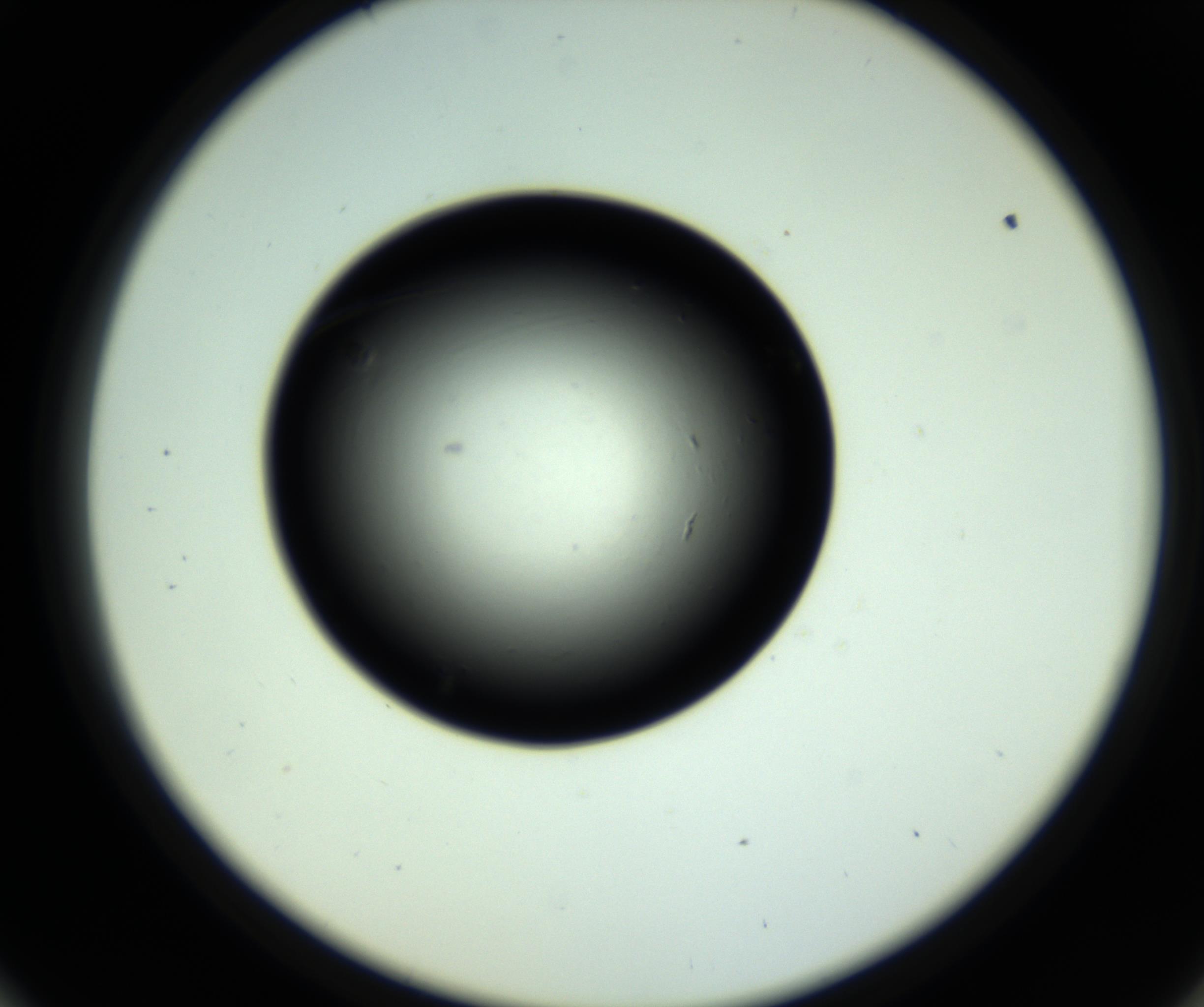 RI01_03_000_0212_Proj1_Clon1_MC_0000MC102808_006_161013_09_05_02_00_98_002_001_RAI.jpg
