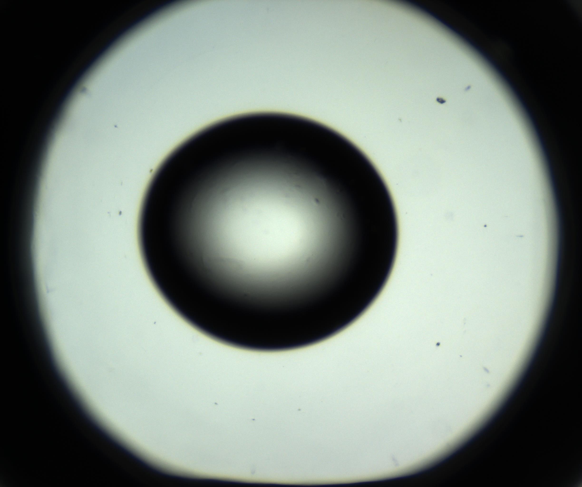 RI01_03_000_0212_Proj1_Clon1_MC_0000MC102808_006_161013_09_06_01_00_98_002_001_RAI.jpg