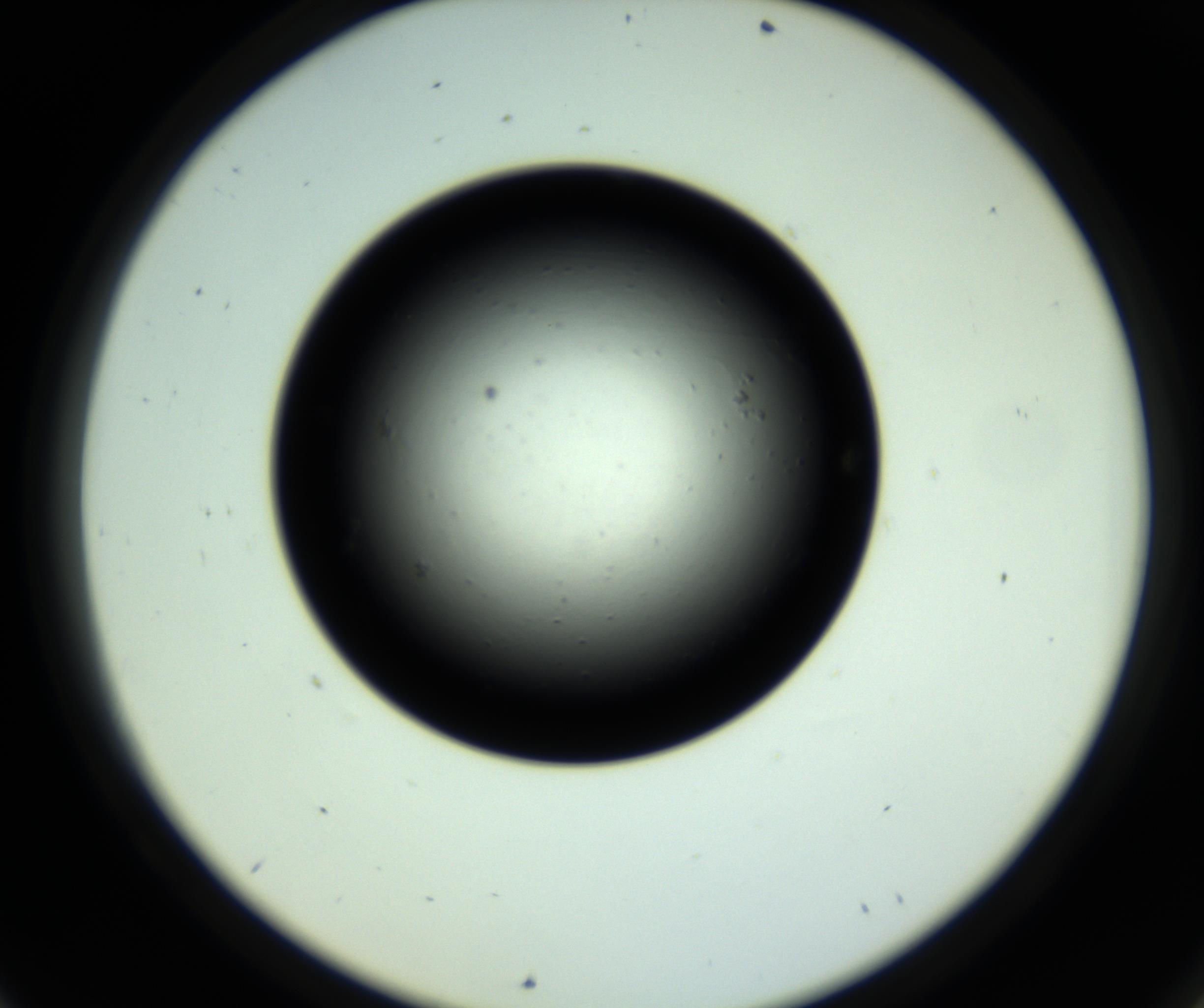 RI01_03_000_0212_Proj1_Clon1_MC_0000MC102808_006_161013_09_06_02_00_98_002_001_RAI.jpg