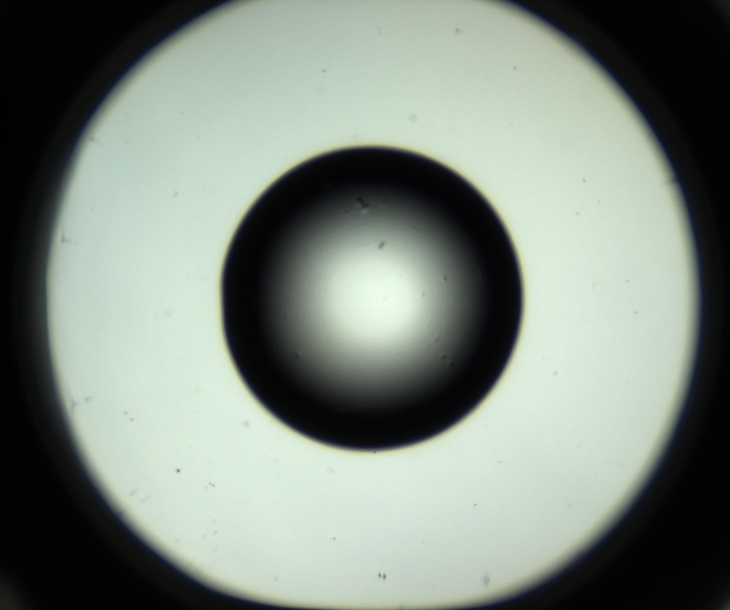 RI01_03_000_0212_Proj1_Clon1_MC_0000MC102808_006_161013_10_04_01_00_98_002_001_RAI.jpg