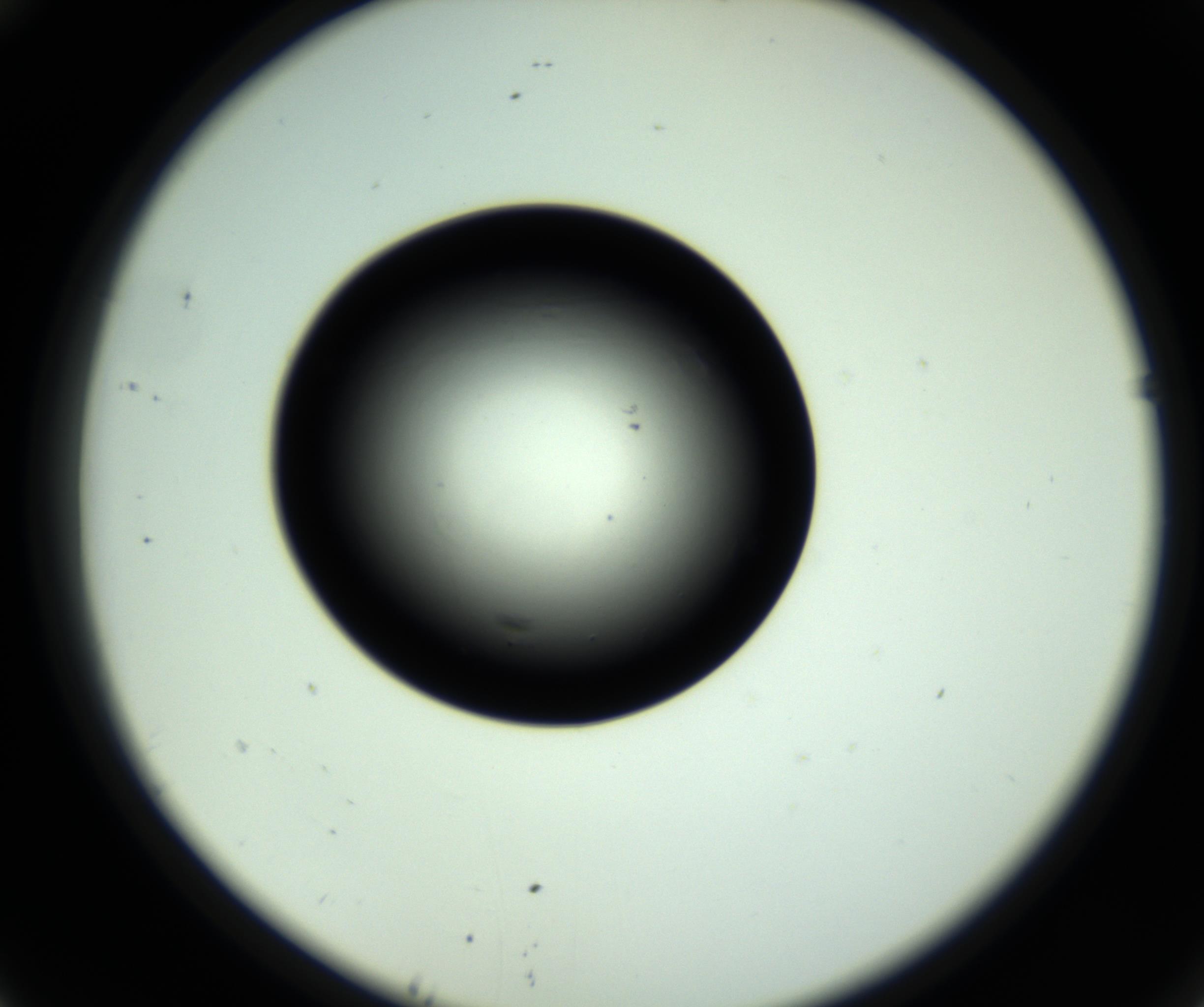 RI01_03_000_0212_Proj1_Clon1_MC_0000MC102808_006_161013_10_04_02_00_98_002_001_RAI.jpg