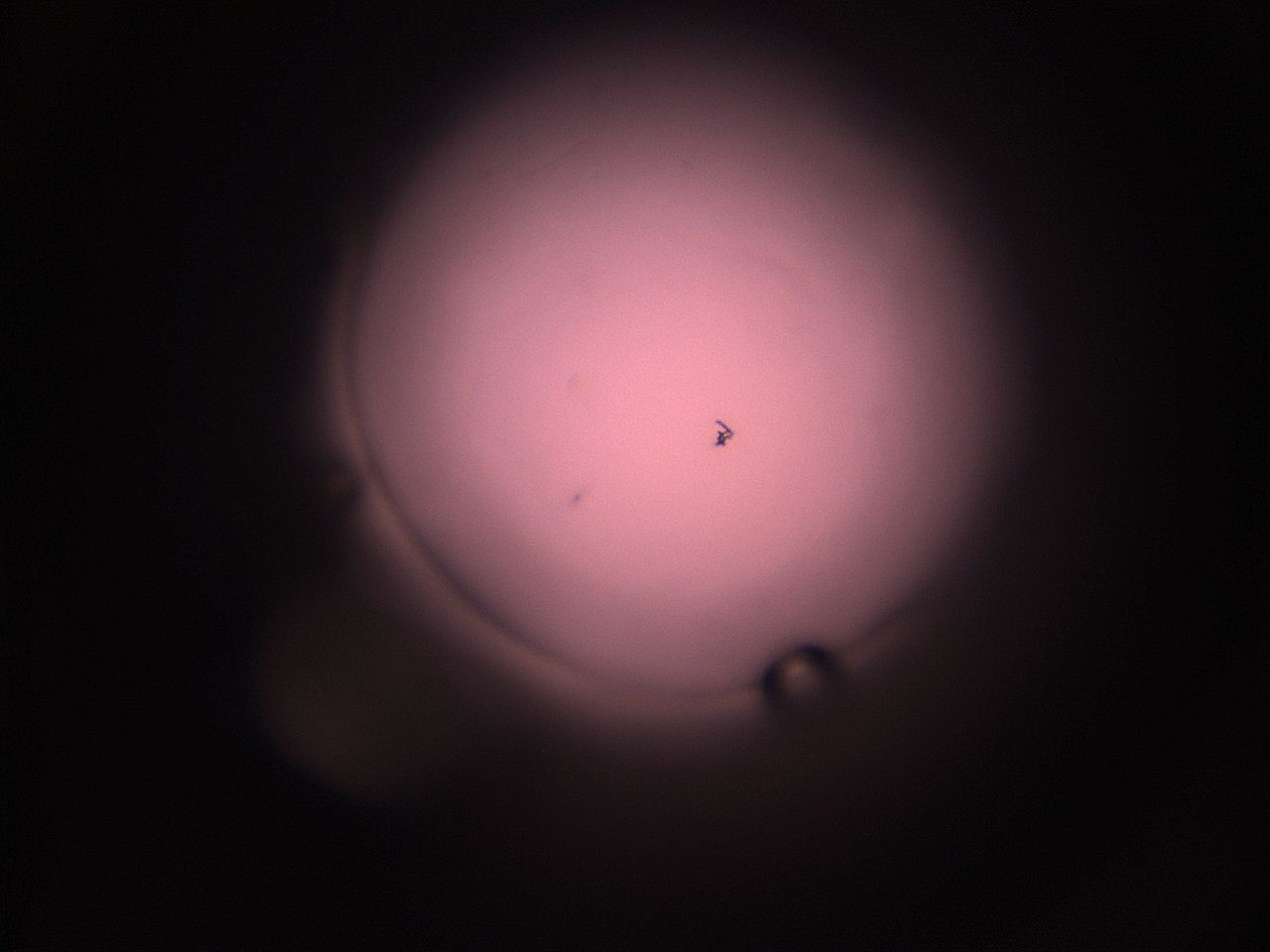 05i3_L1_ImagerDefaults_1.jpg