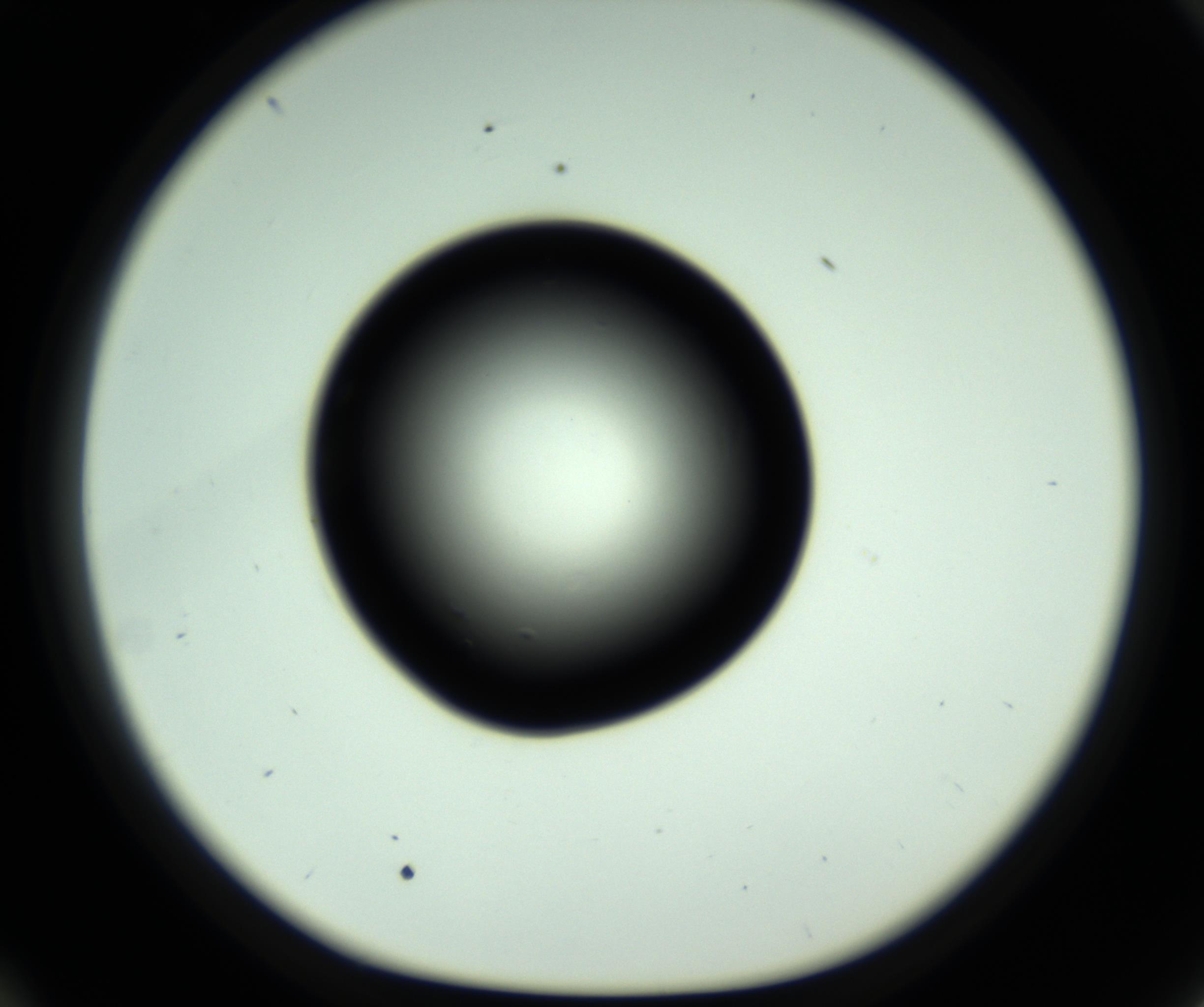 RI01_03_000_0212_Proj1_Clon1_MC_0000MC102808_006_161013_10_05_01_00_98_002_001_RAI.jpg