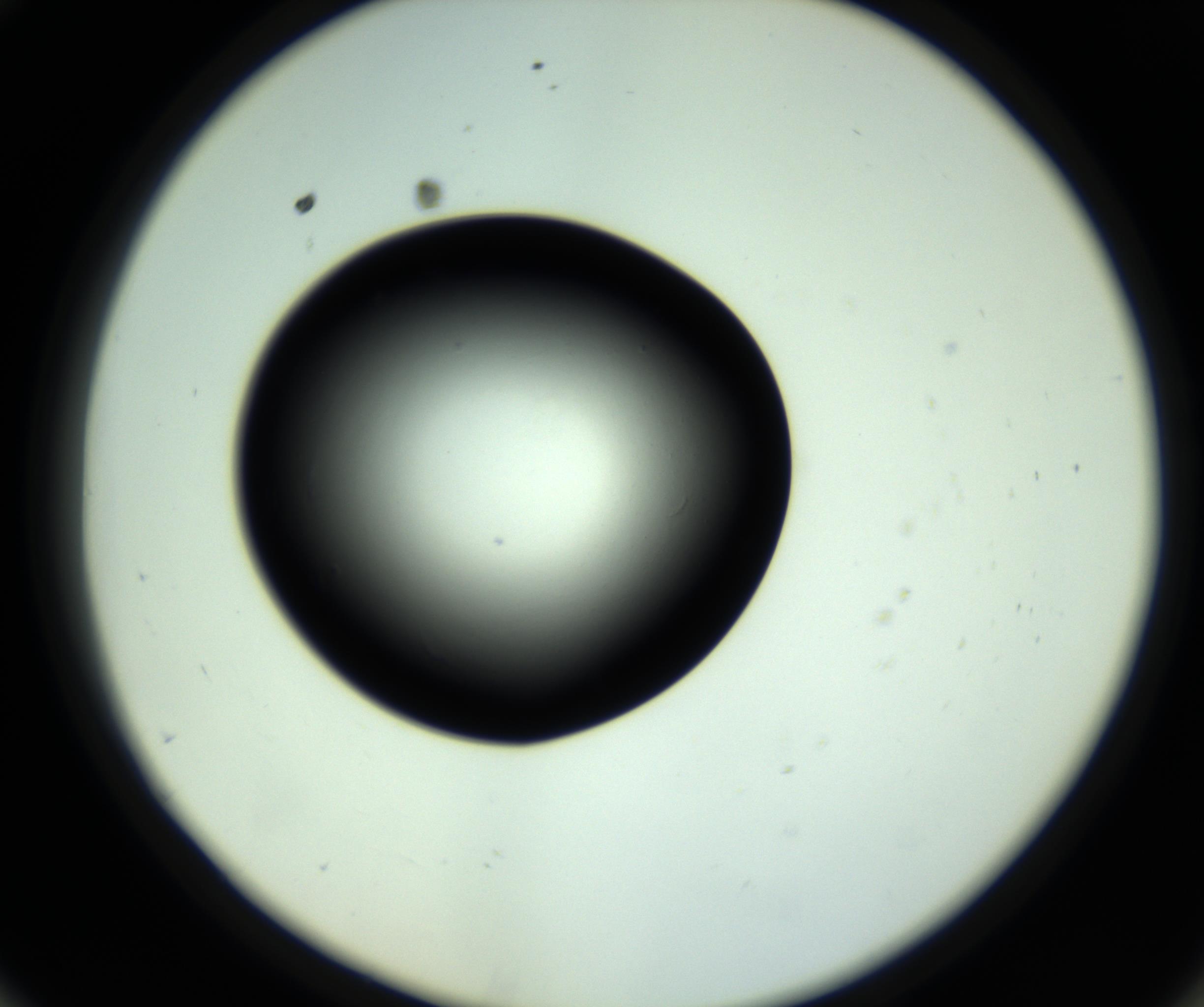 RI01_03_000_0212_Proj1_Clon1_MC_0000MC102808_006_161013_10_05_02_00_98_002_001_RAI.jpg