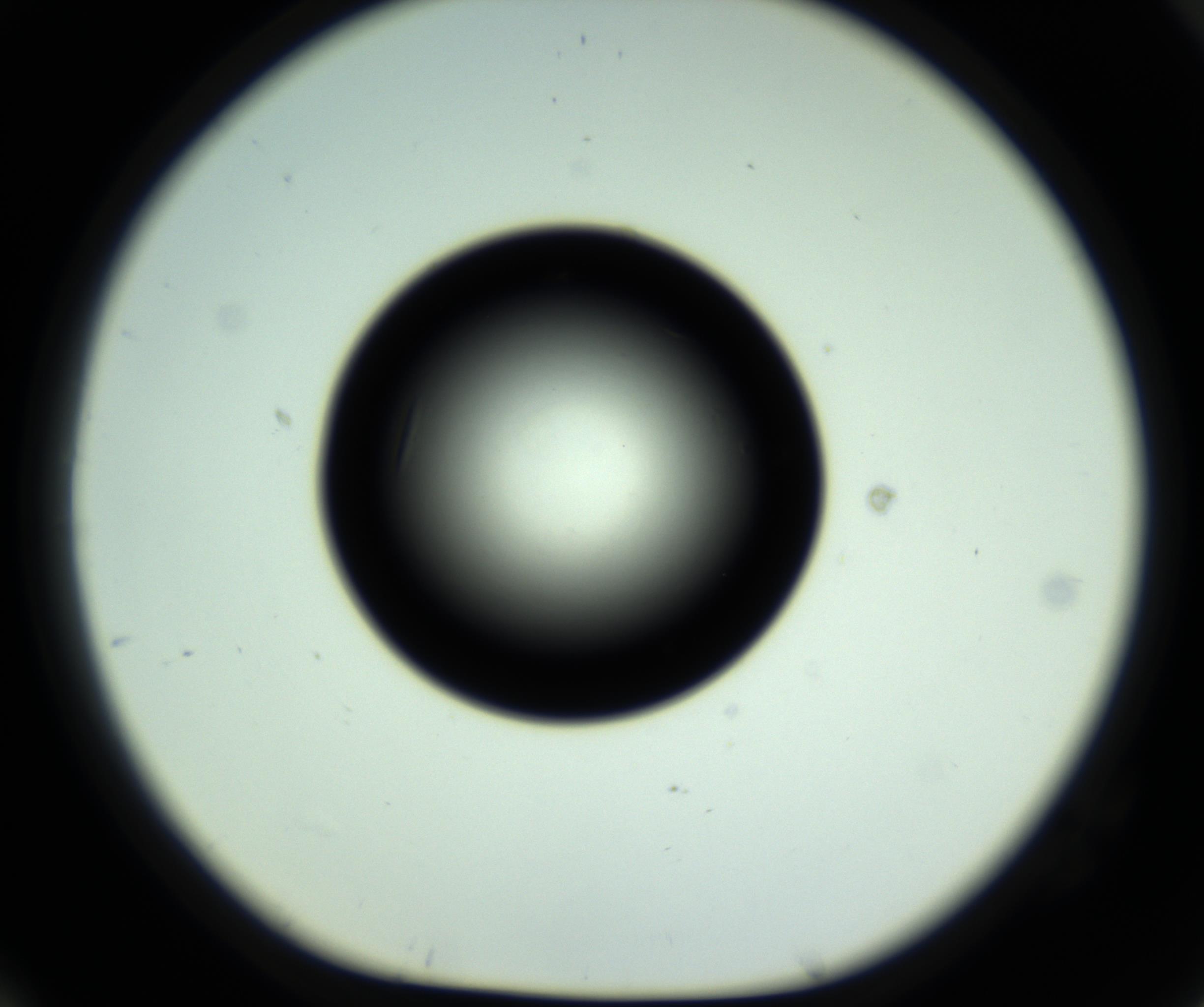 RI01_03_000_0212_Proj1_Clon1_MC_0000MC102808_006_161013_10_07_01_00_98_002_001_RAI.jpg