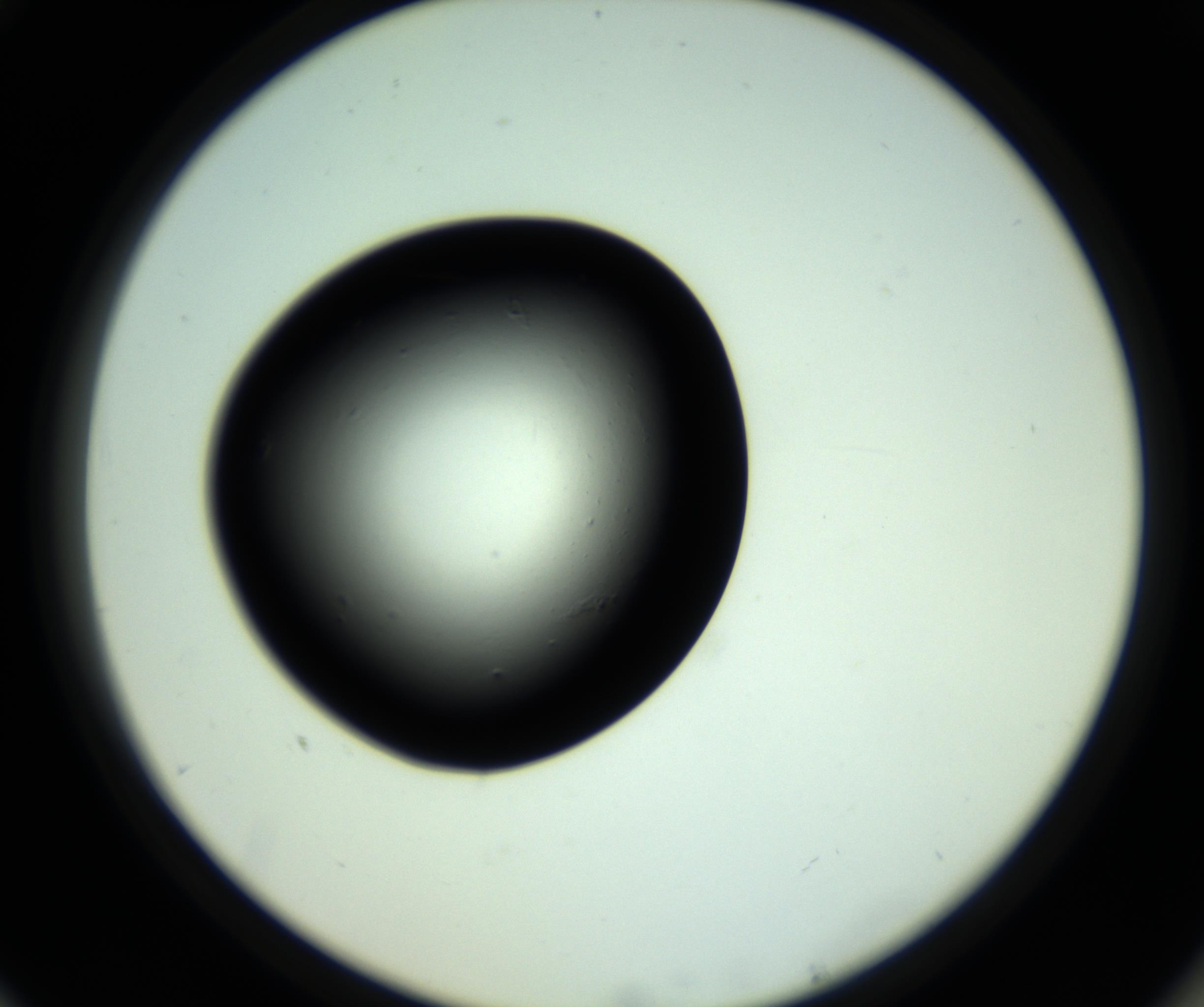RI01_03_000_0212_Proj1_Clon1_MC_0000MC102808_006_161013_10_07_02_00_98_002_001_RAI.jpg