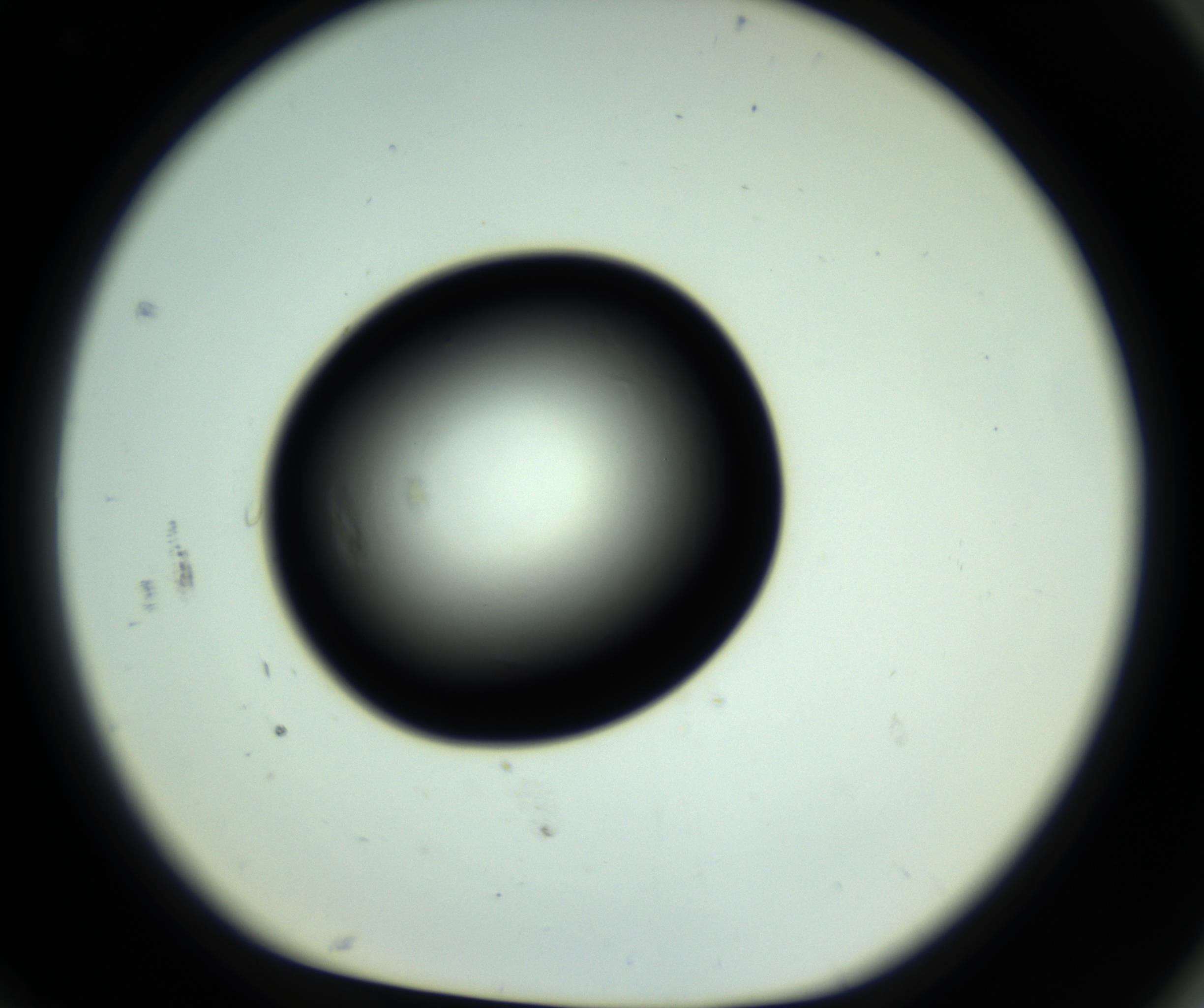 RI01_03_000_0212_Proj1_Clon1_MC_0000MC102808_006_161013_10_08_01_00_98_002_001_RAI.jpg