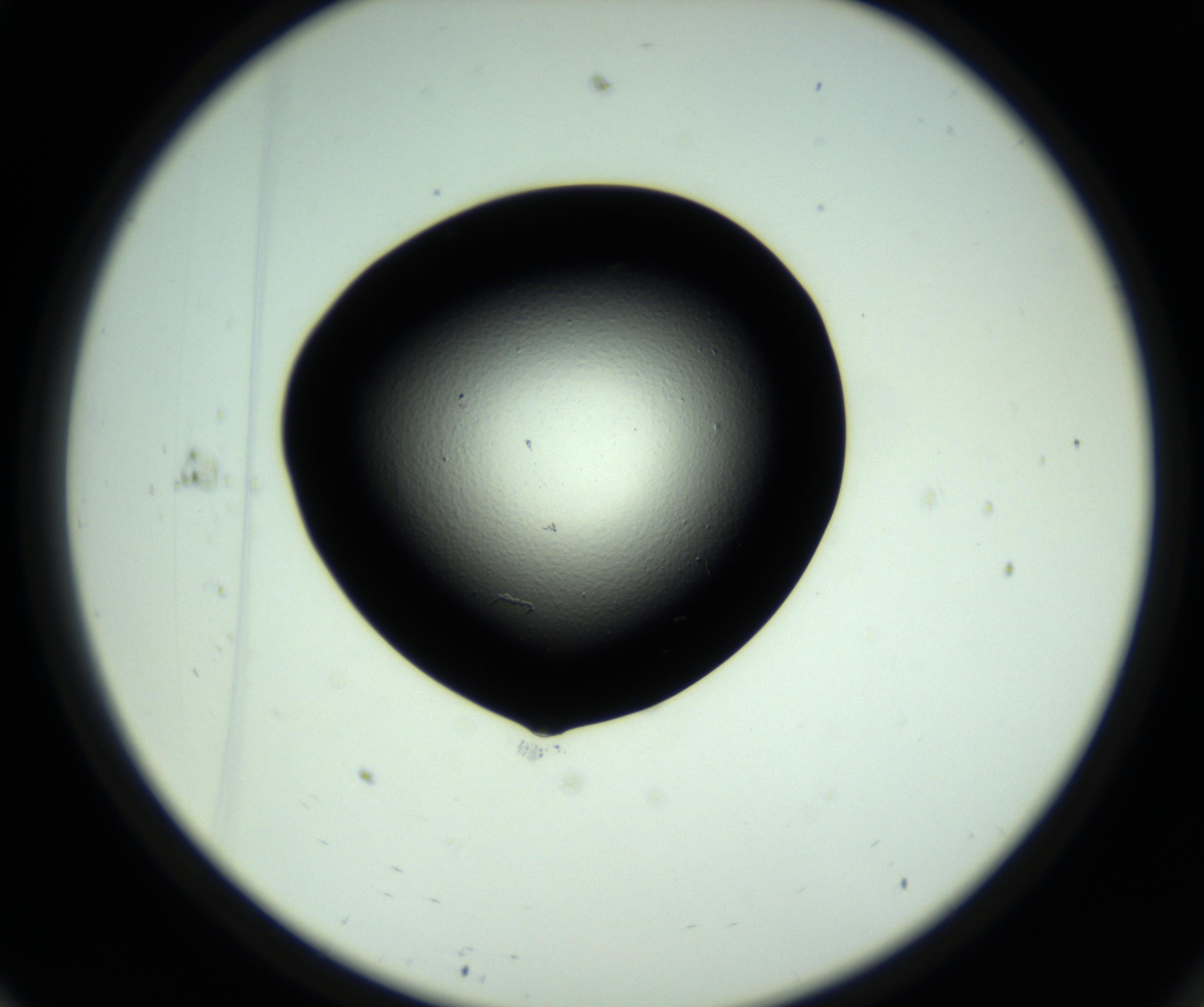 RI01_03_000_0212_Proj1_Clon1_MC_0000MC102808_006_161013_11_06_02_00_98_002_001_RAI.jpg