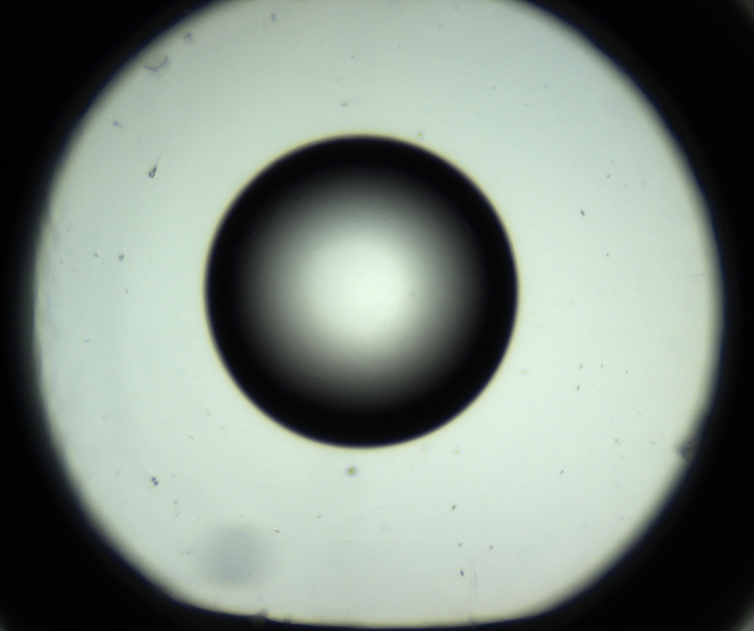 RI01_03_000_0212_Proj1_Clon1_MC_0000MC102808_006_161013_11_07_01_00_98_002_001_RAI.jpg