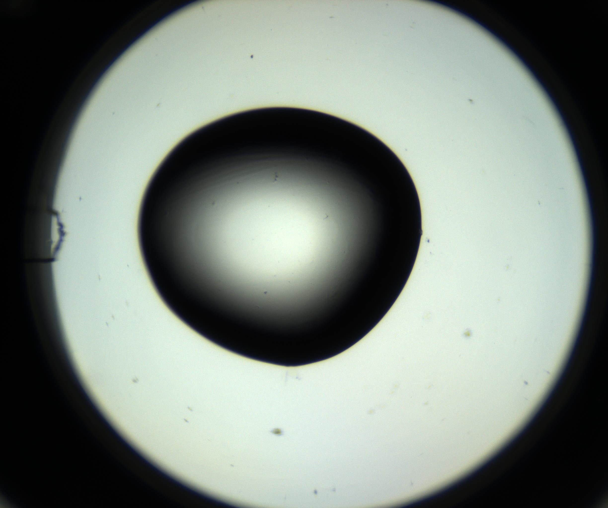 RI01_03_000_0212_Proj1_Clon1_MC_0000MC102808_006_161013_12_05_02_00_98_002_001_RAI.jpg