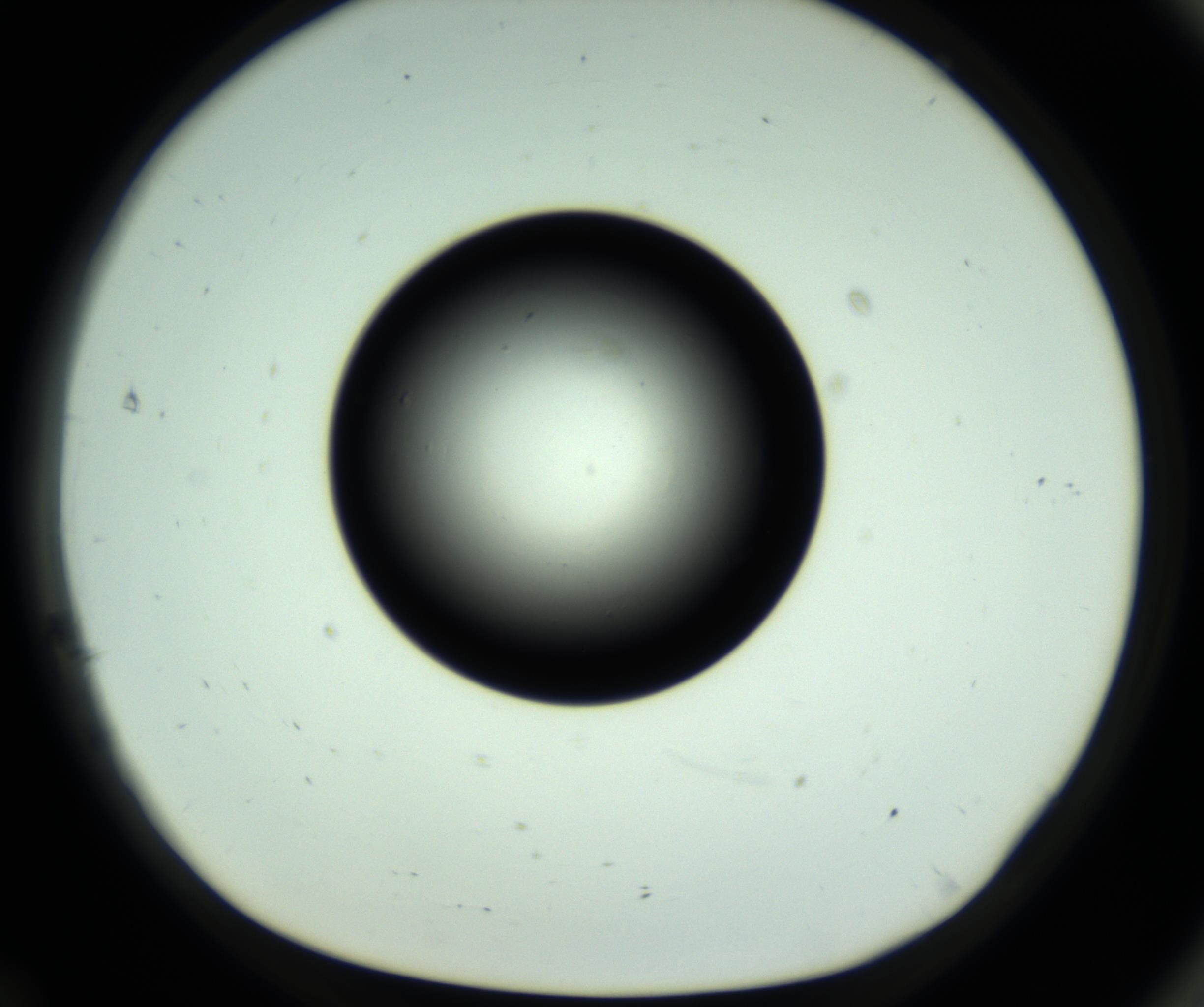 RI01_03_000_0212_Proj1_Clon1_MC_0000MC102808_006_161013_12_07_01_00_98_002_001_RAI.jpg