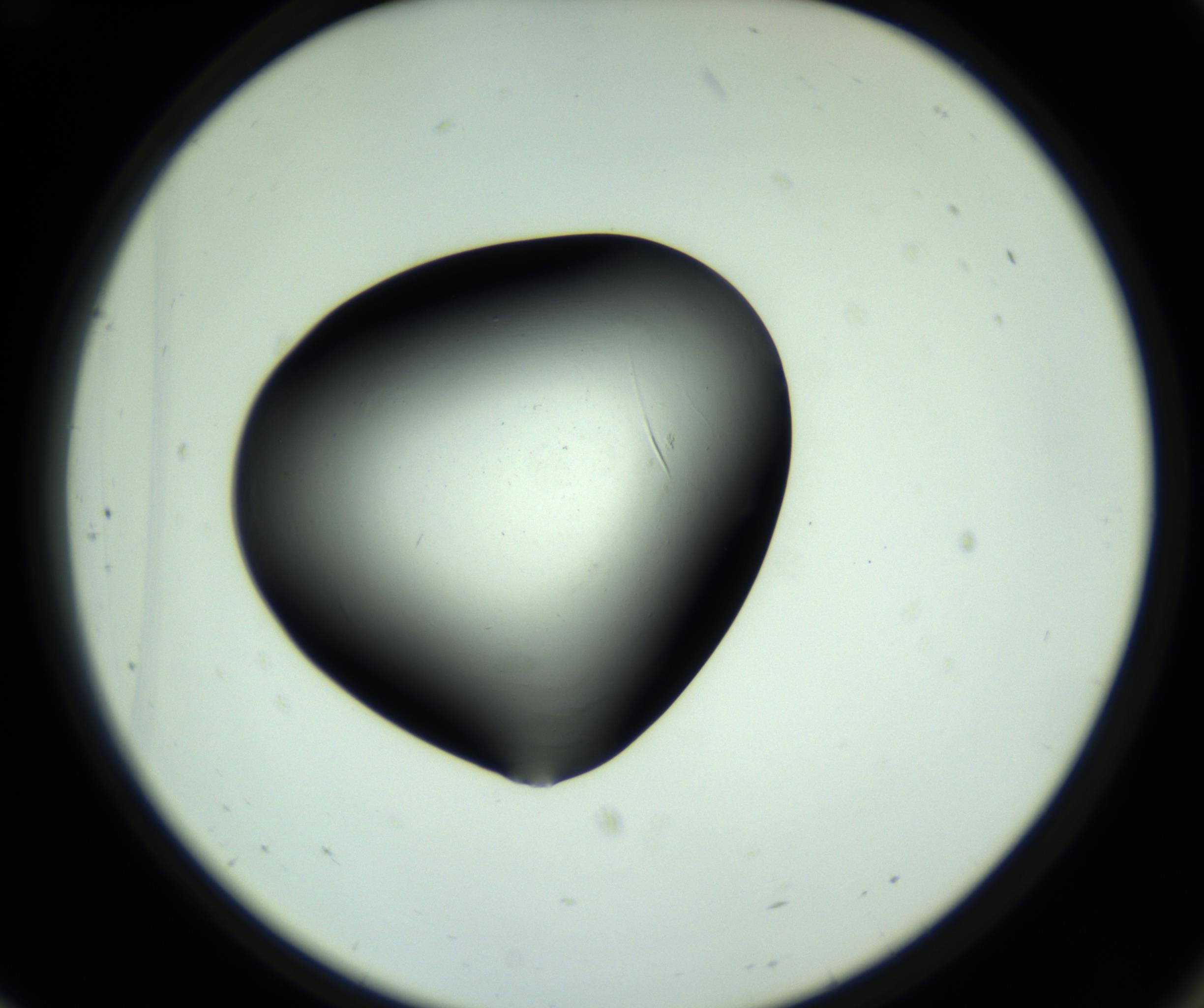 RI01_03_000_0212_Proj1_Clon1_MC_0000MC102808_006_161013_12_07_02_00_98_002_001_RAI.jpg