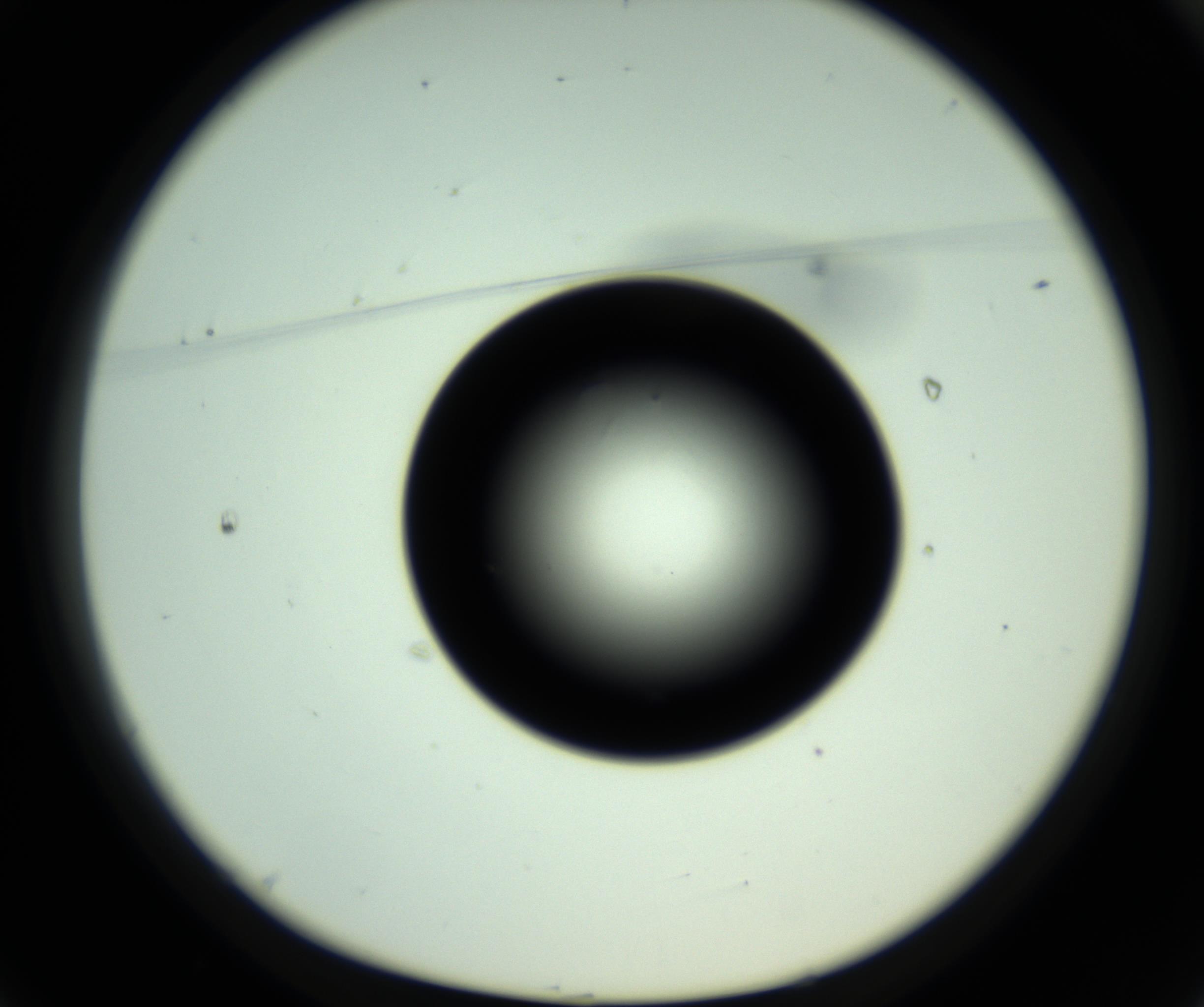 RI01_03_000_0212_Proj1_Clon1_MC_0000MC102809_006_161013_01_01_01_00_98_002_001_RAI.jpg