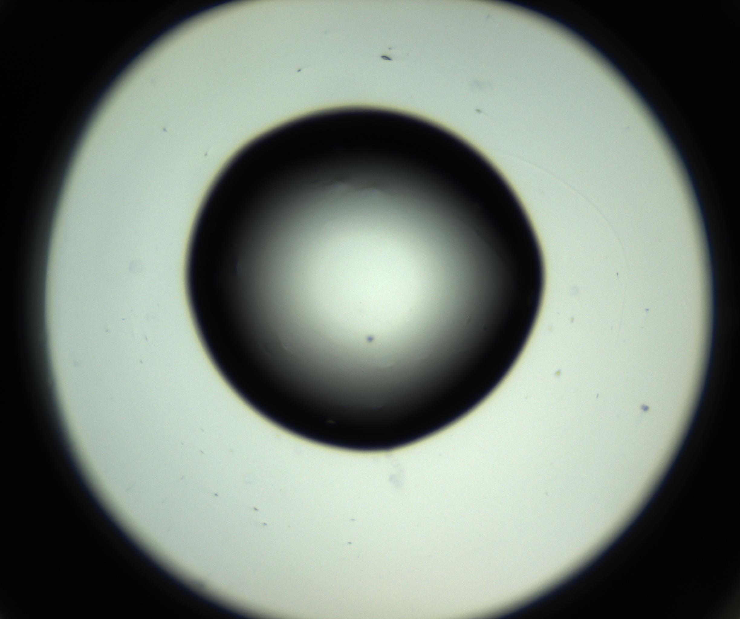 RI01_03_000_0212_Proj1_Clon1_MC_0000MC102809_006_161013_01_01_02_00_98_002_001_RAI.jpg