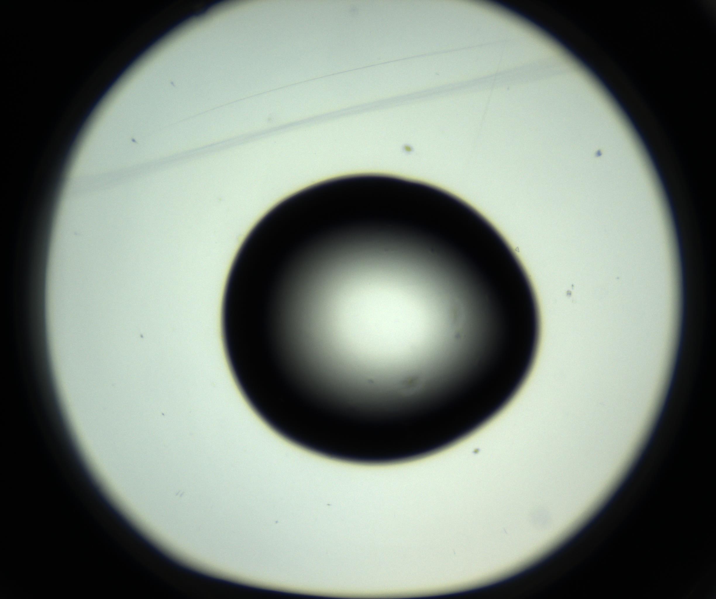 RI01_03_000_0212_Proj1_Clon1_MC_0000MC102809_006_161013_01_02_01_00_98_002_001_RAI.jpg