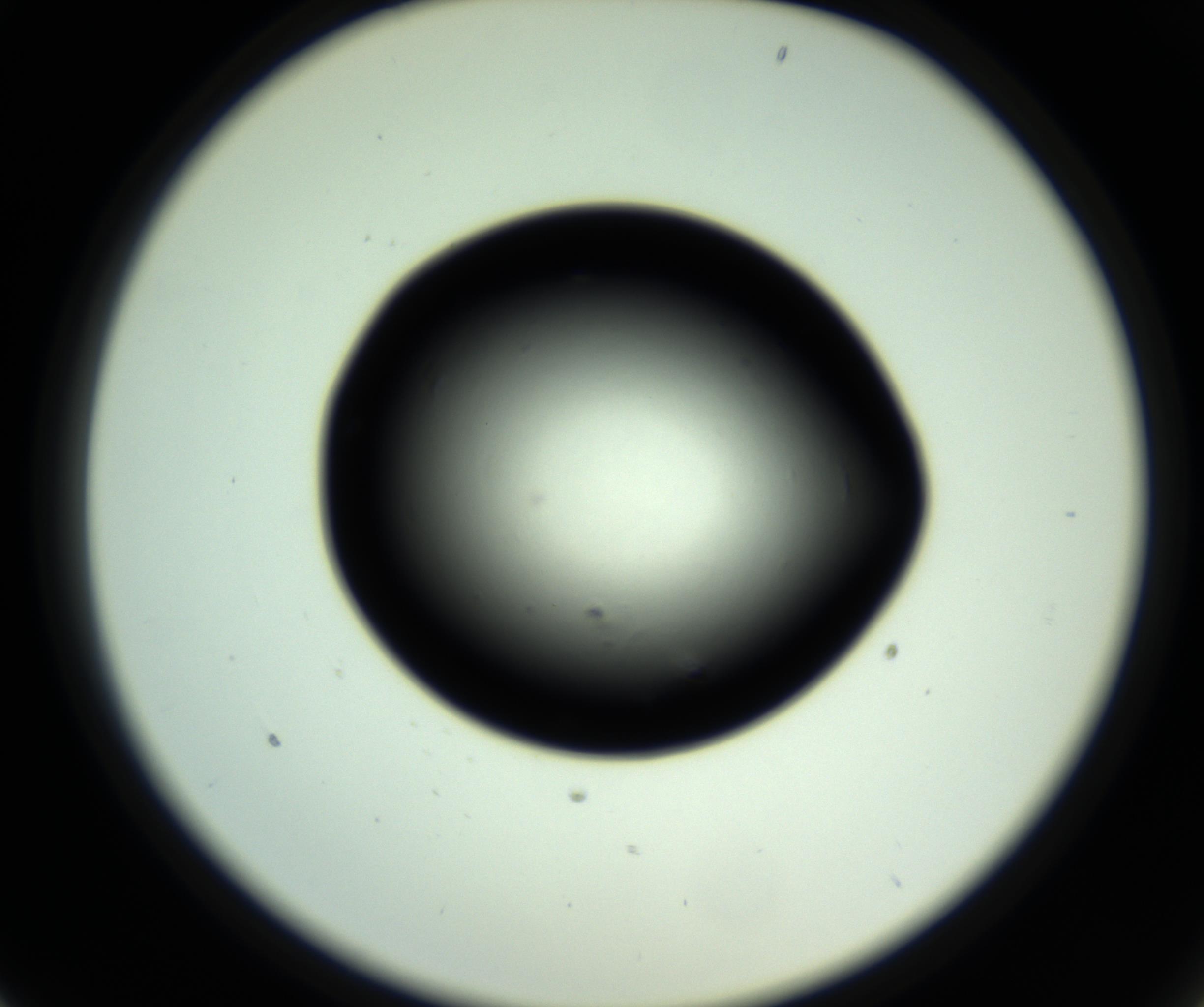 RI01_03_000_0212_Proj1_Clon1_MC_0000MC102809_006_161013_01_02_02_00_98_002_001_RAI.jpg