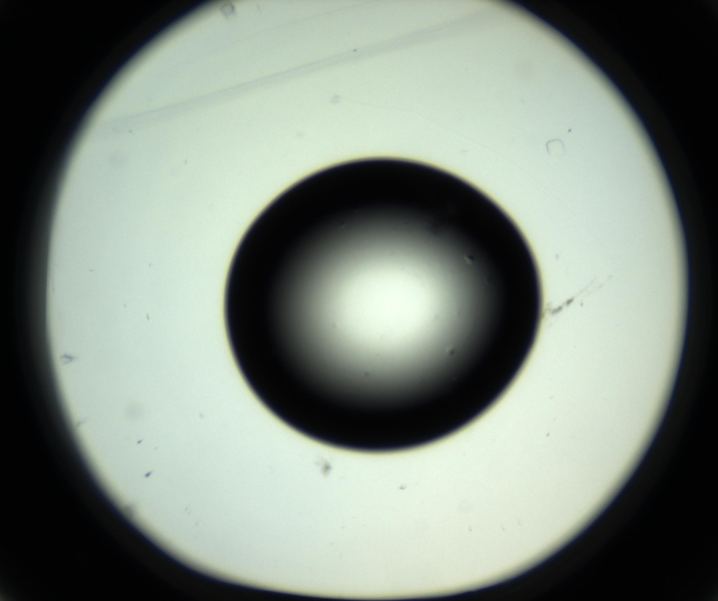 RI01_03_000_0212_Proj1_Clon1_MC_0000MC102809_006_161013_01_04_01_00_98_002_001_RAI.jpg