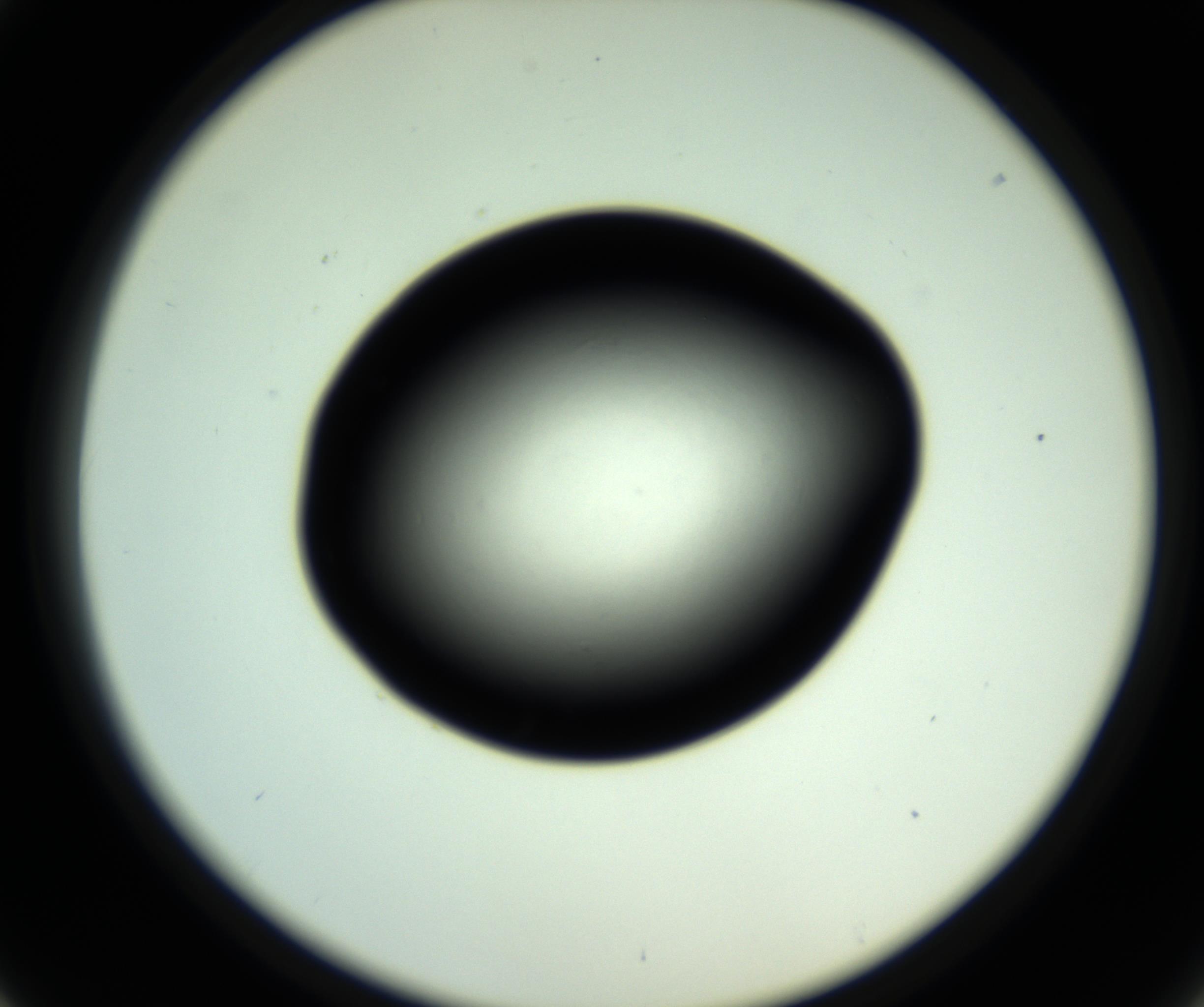 RI01_03_000_0212_Proj1_Clon1_MC_0000MC102809_006_161013_01_04_02_00_98_002_001_RAI.jpg