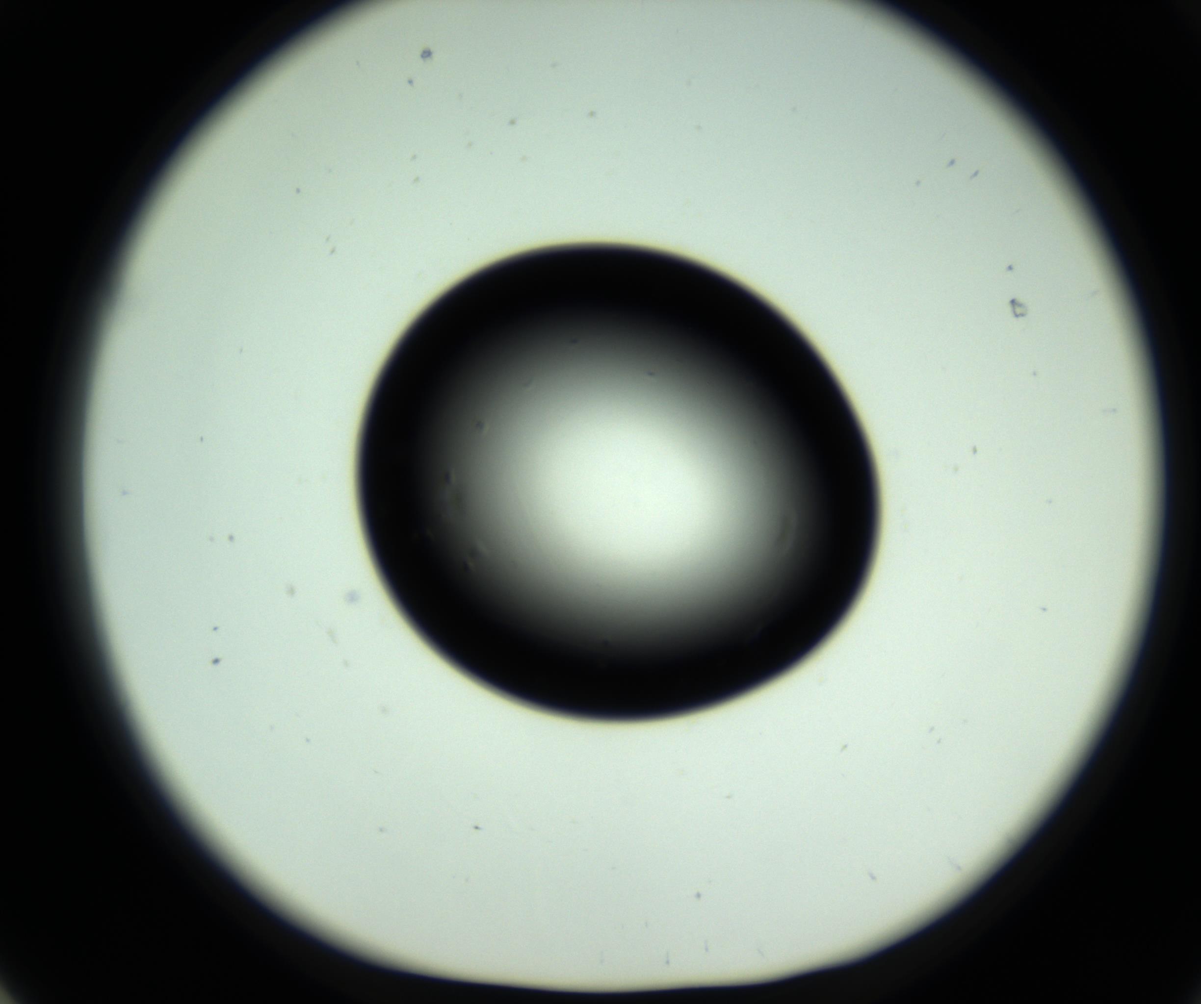 RI01_03_000_0212_Proj1_Clon1_MC_0000MC102809_006_161013_01_06_01_00_98_002_001_RAI.jpg