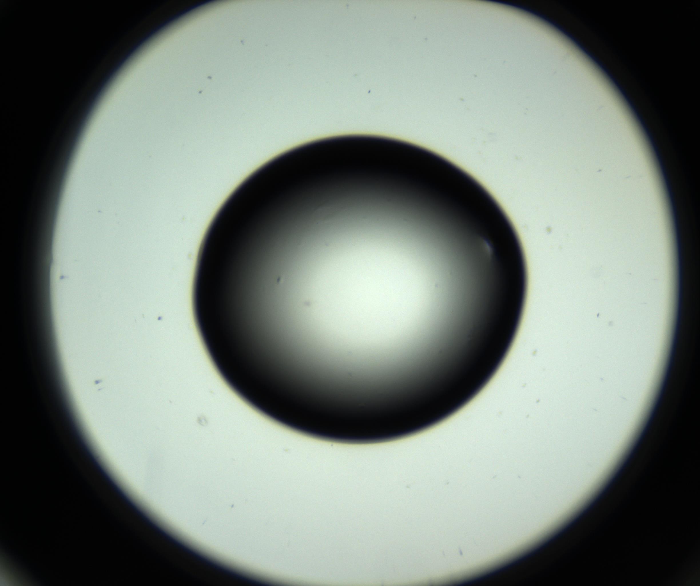 RI01_03_000_0212_Proj1_Clon1_MC_0000MC102809_006_161013_01_06_02_00_98_002_001_RAI.jpg