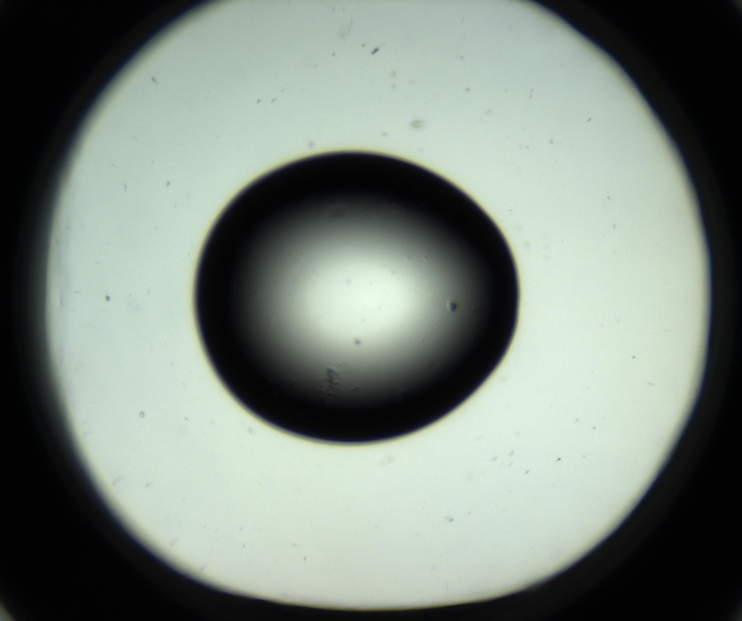 RI01_03_000_0212_Proj1_Clon1_MC_0000MC102809_006_161013_01_07_01_00_98_002_001_RAI.jpg