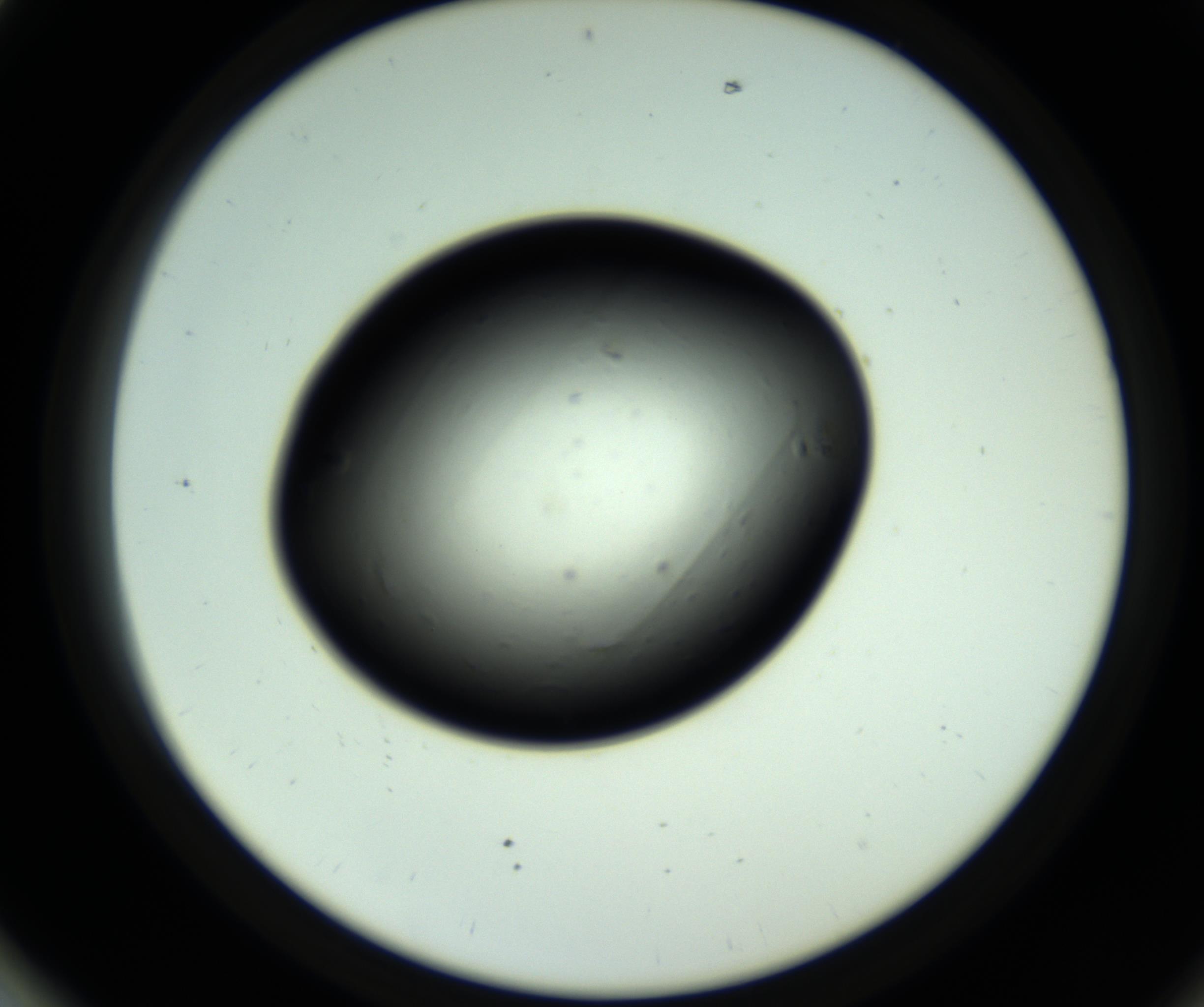 RI01_03_000_0212_Proj1_Clon1_MC_0000MC102809_006_161013_01_07_02_00_98_002_001_RAI.jpg