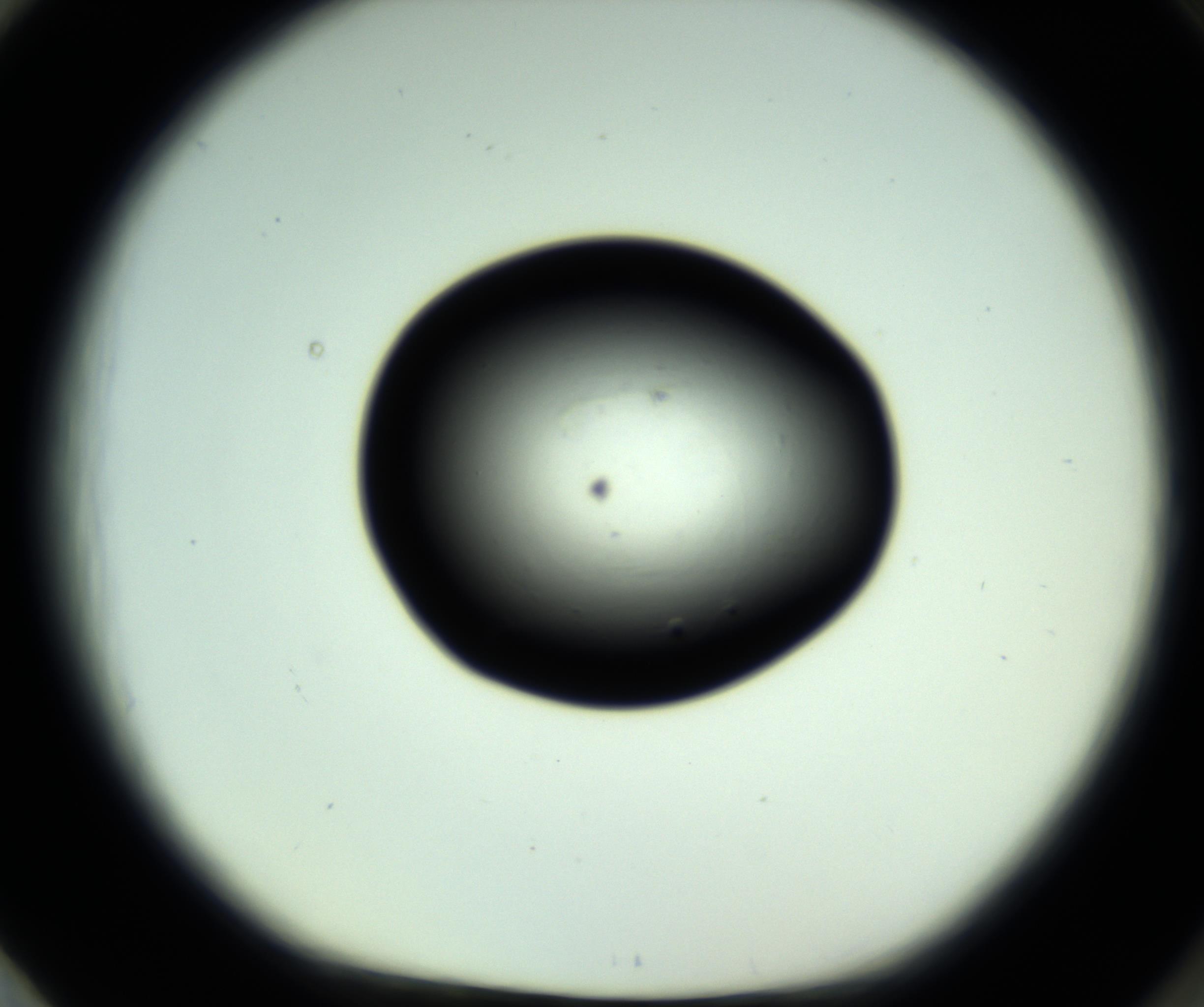 RI01_03_000_0212_Proj1_Clon1_MC_0000MC102809_006_161013_01_08_01_00_98_002_001_RAI.jpg
