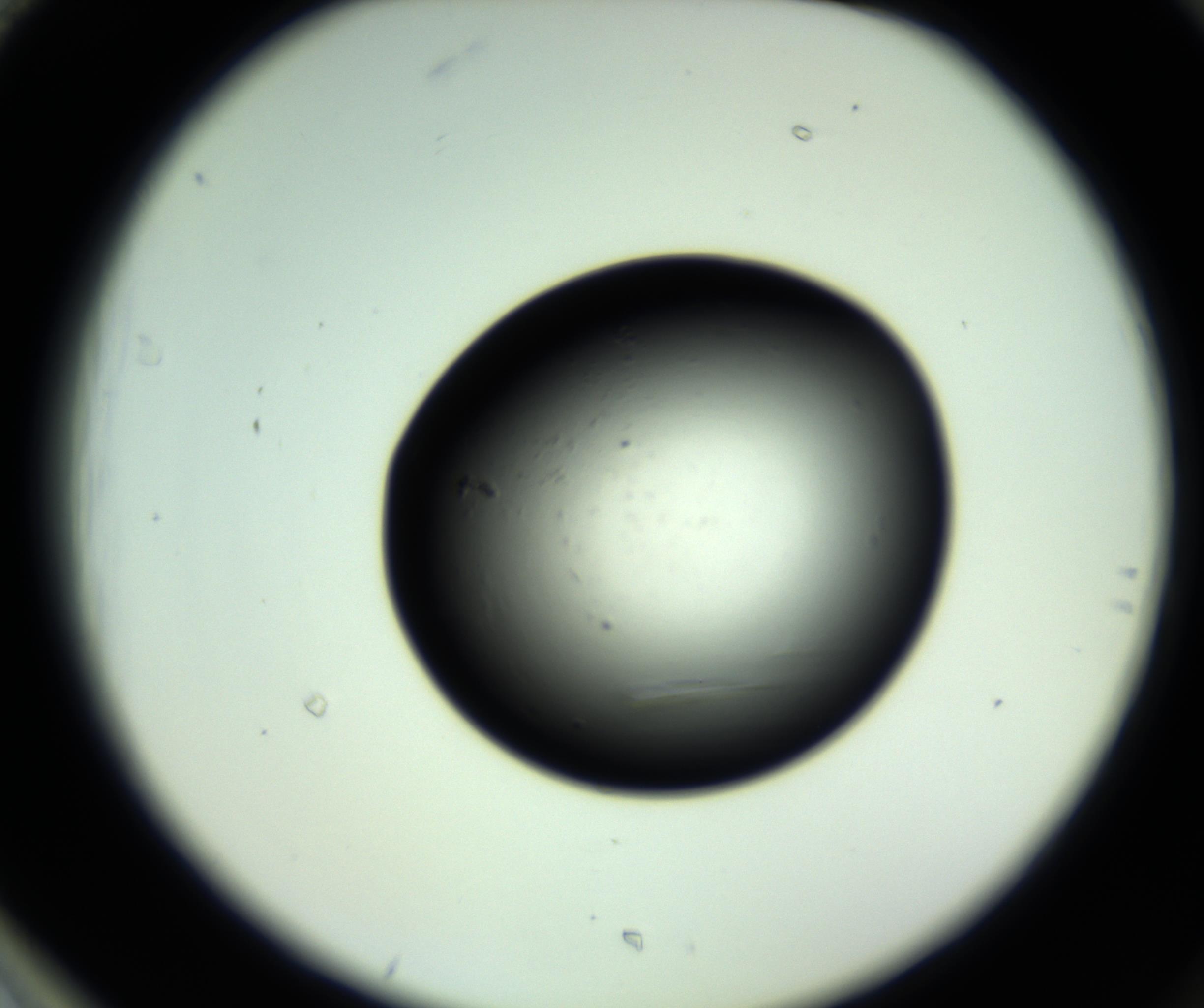 RI01_03_000_0212_Proj1_Clon1_MC_0000MC102809_006_161013_01_08_02_00_98_002_001_RAI.jpg