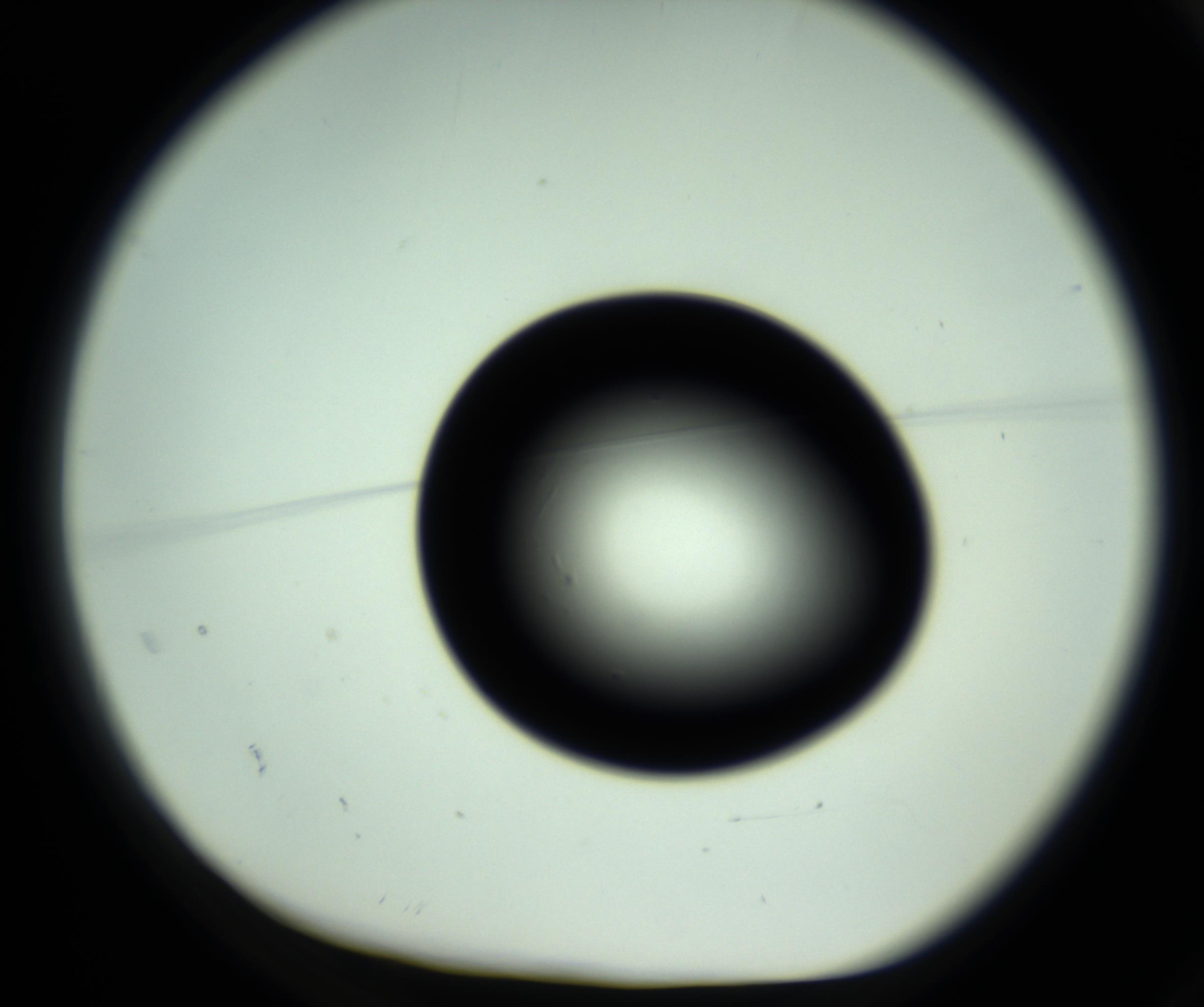 RI01_03_000_0212_Proj1_Clon1_MC_0000MC102809_006_161013_02_01_01_00_98_002_001_RAI.jpg