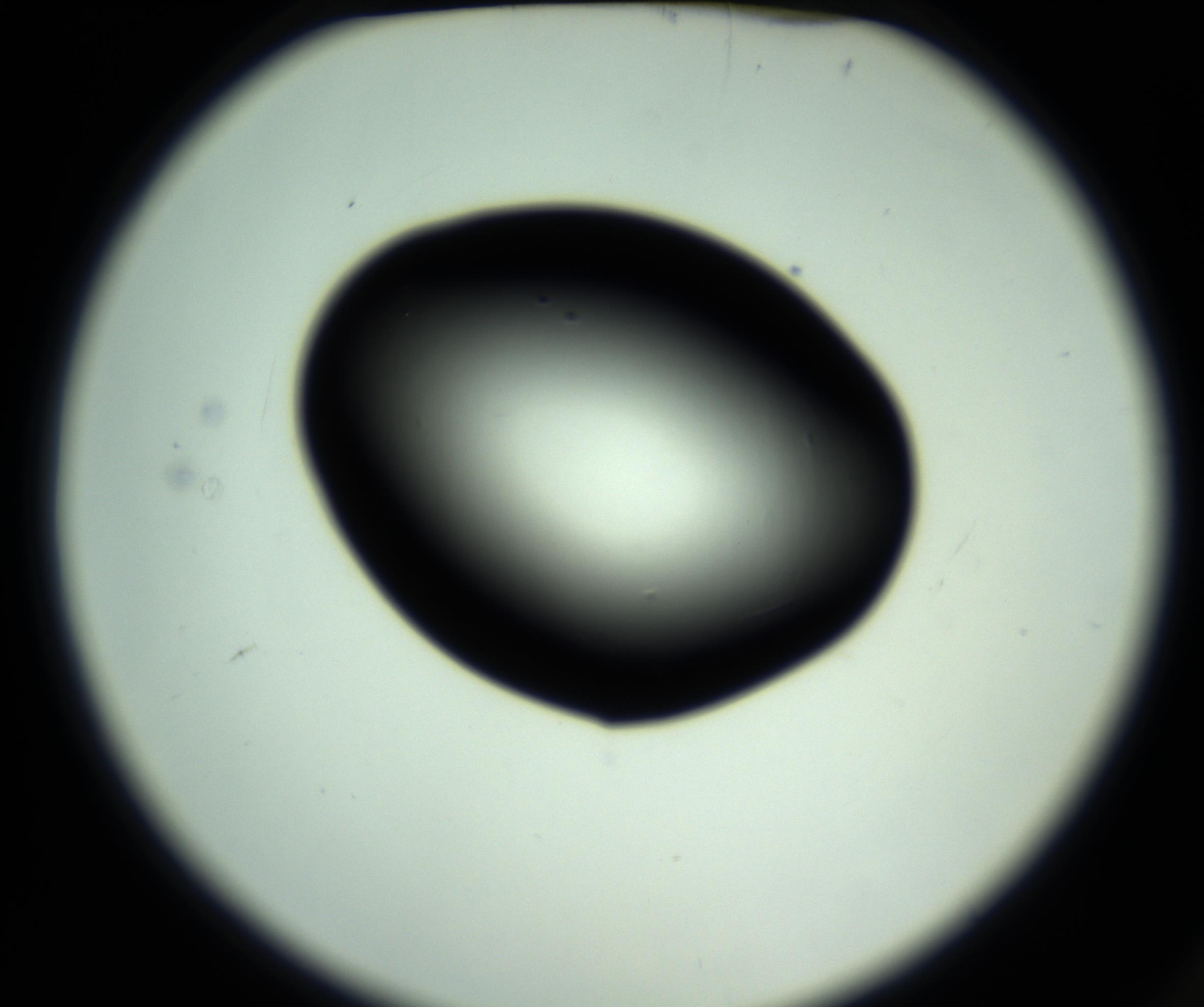 RI01_03_000_0212_Proj1_Clon1_MC_0000MC102809_006_161013_02_01_02_00_98_002_001_RAI.jpg