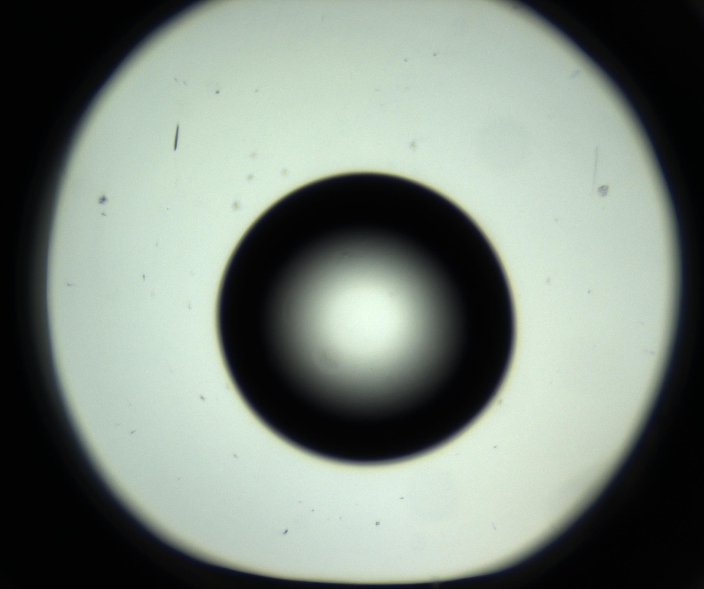 RI01_03_000_0212_Proj1_Clon1_MC_0000MC102809_006_161013_02_02_01_00_98_002_001_RAI.jpg