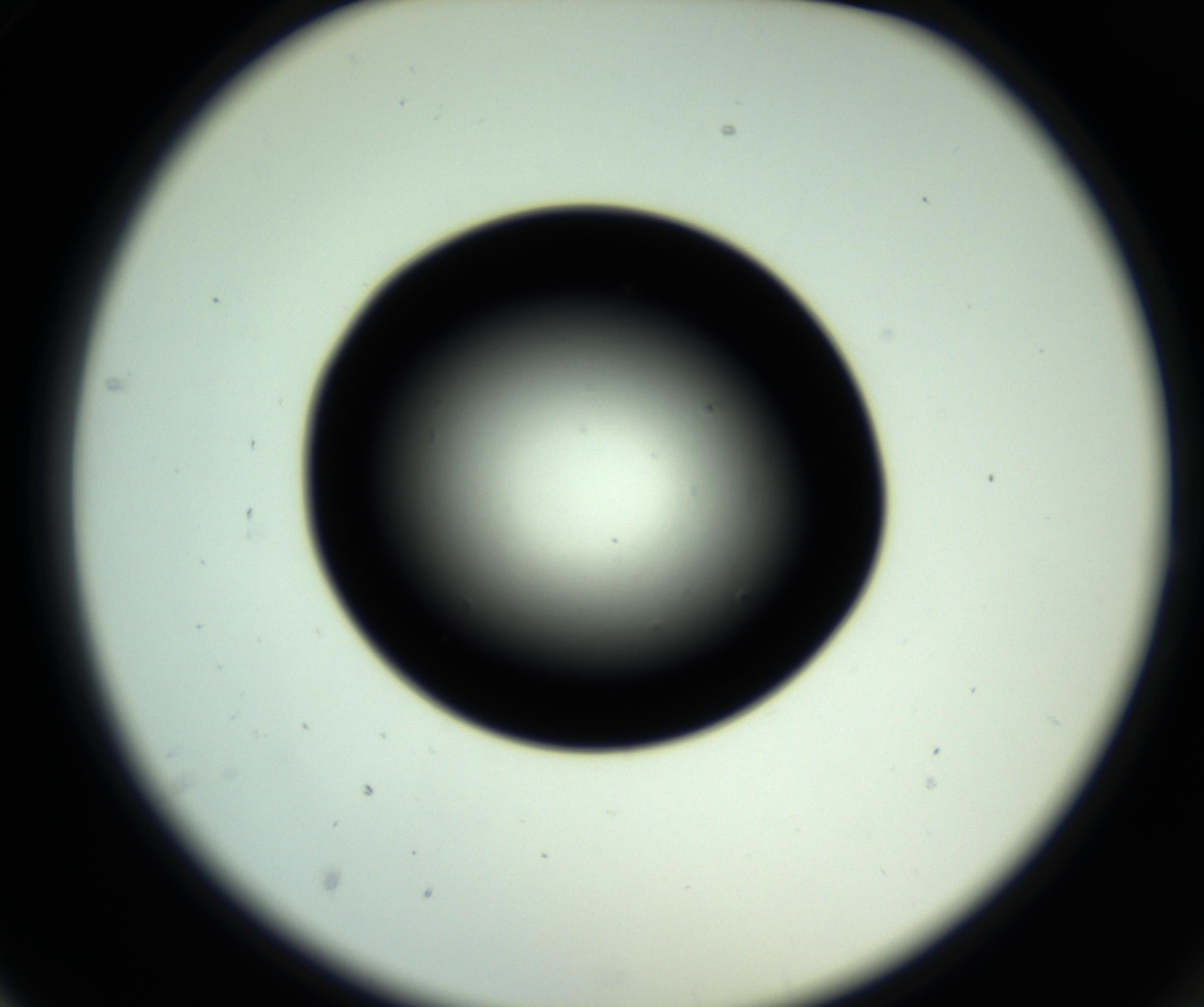 RI01_03_000_0212_Proj1_Clon1_MC_0000MC102809_006_161013_02_02_02_00_98_002_001_RAI.jpg