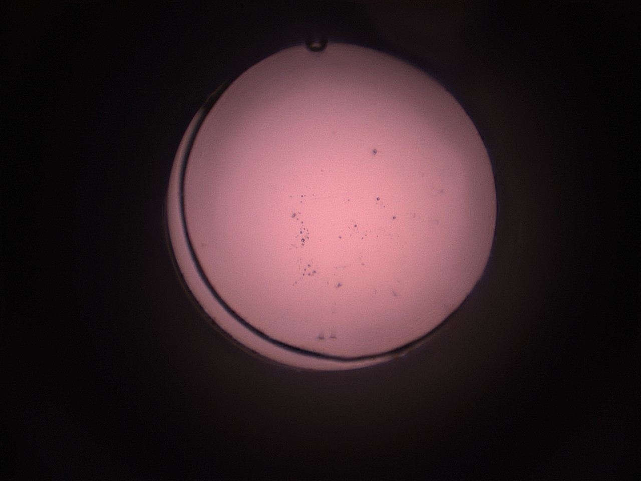05i3_L7_ImagerDefaults_1.jpg