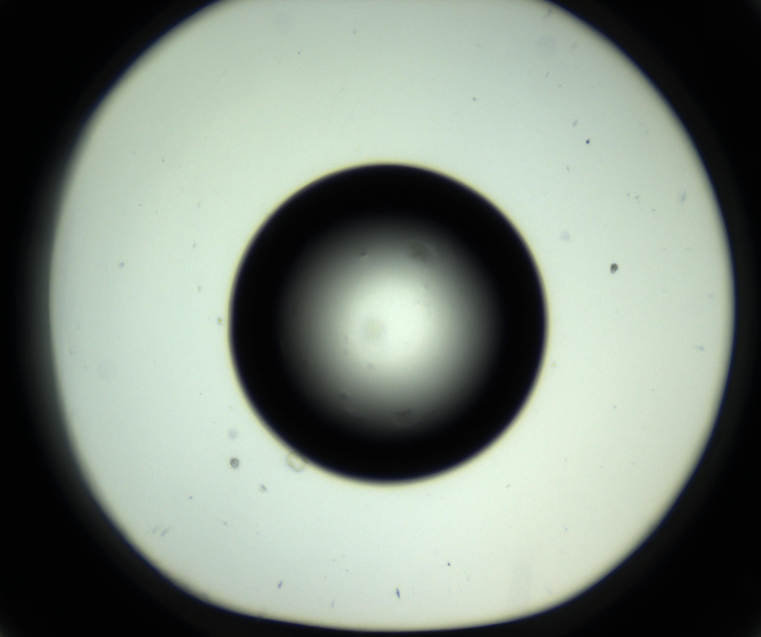 RI01_03_000_0212_Proj1_Clon1_MC_0000MC102809_006_161013_02_03_01_00_98_002_001_RAI.jpg