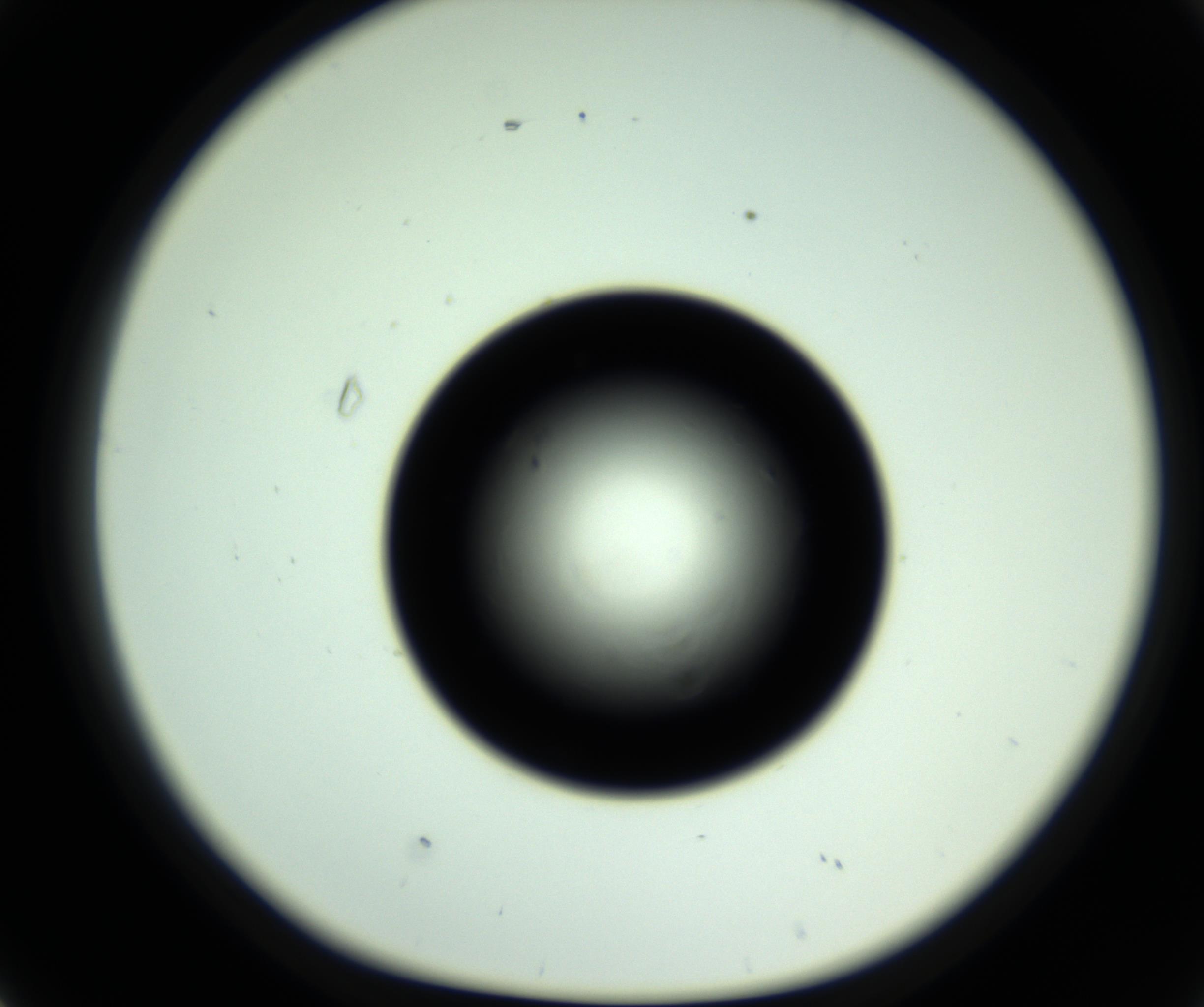 RI01_03_000_0212_Proj1_Clon1_MC_0000MC102809_006_161013_02_04_01_00_98_002_001_RAI.jpg