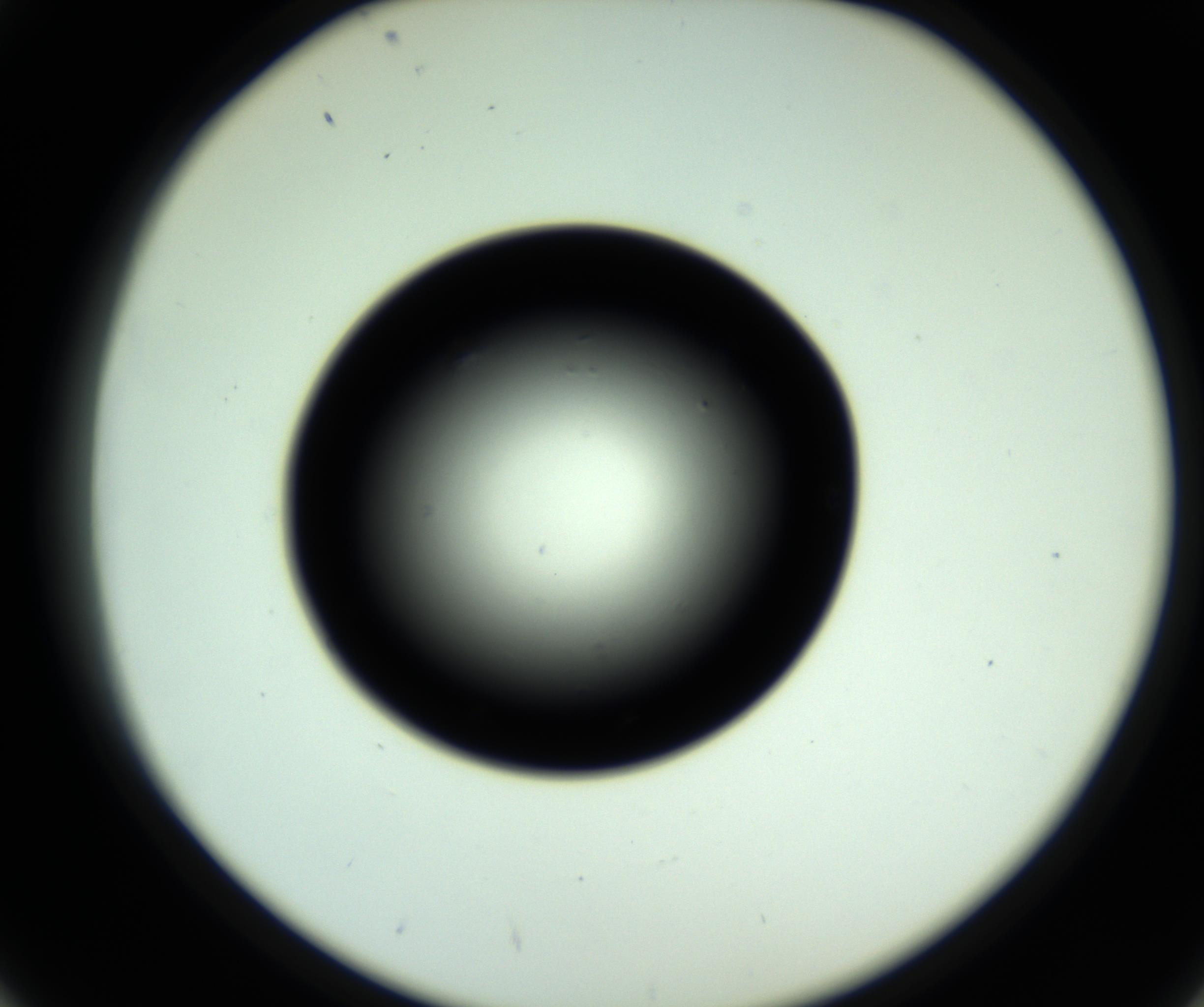RI01_03_000_0212_Proj1_Clon1_MC_0000MC102809_006_161013_02_04_02_00_98_002_001_RAI.jpg
