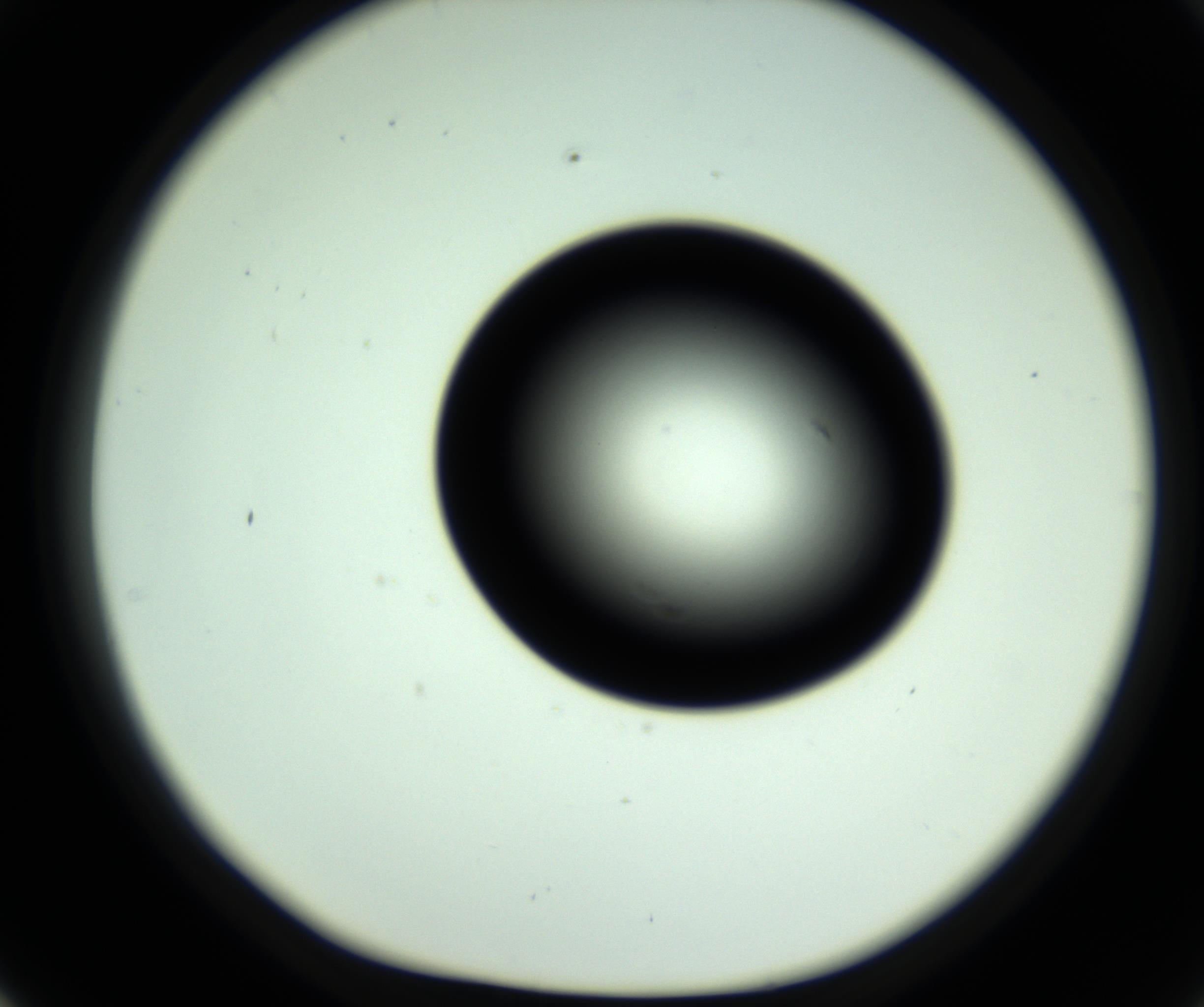 RI01_03_000_0212_Proj1_Clon1_MC_0000MC102809_006_161013_02_05_01_00_98_002_001_RAI.jpg