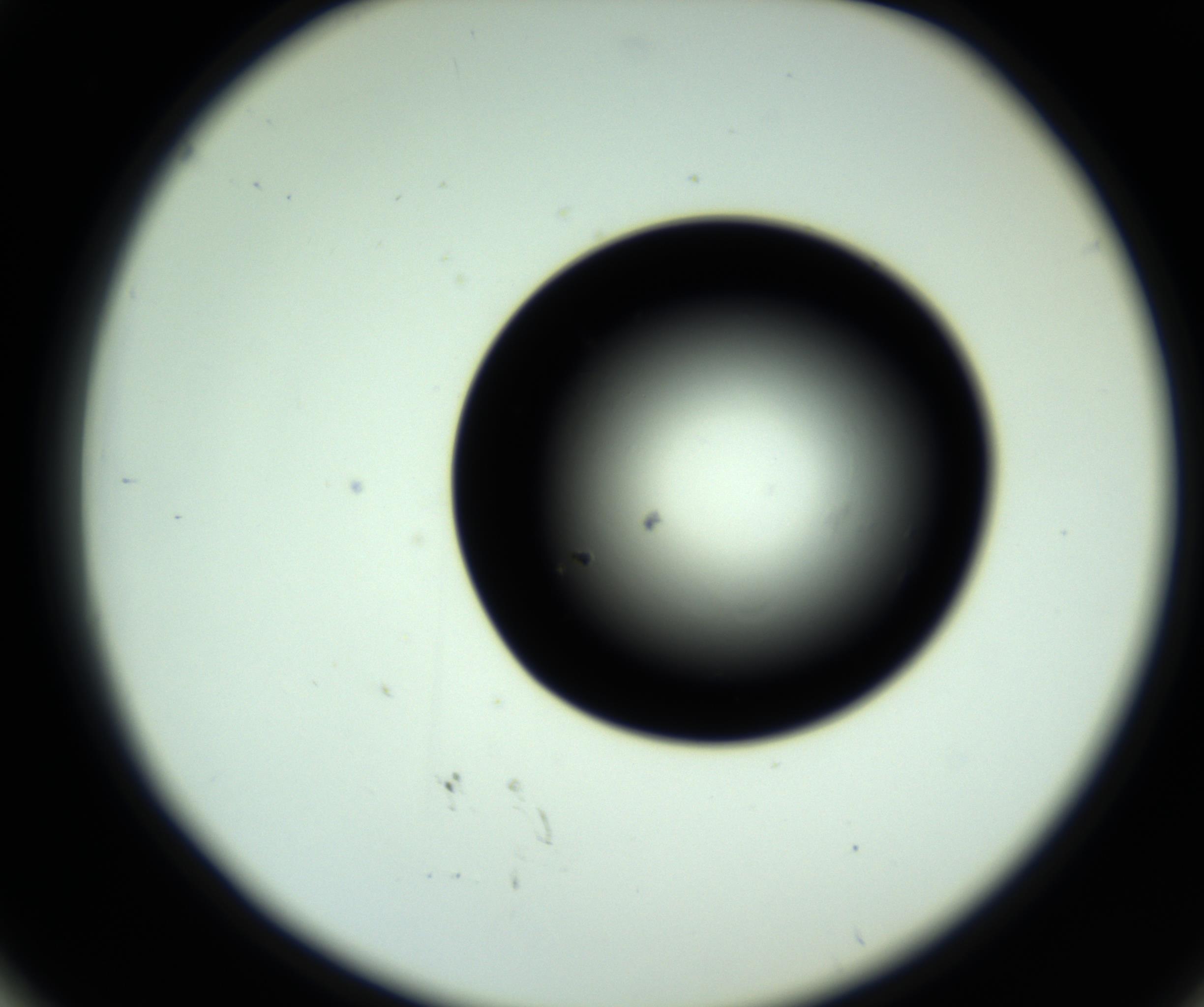 RI01_03_000_0212_Proj1_Clon1_MC_0000MC102809_006_161013_02_05_02_00_98_002_001_RAI.jpg